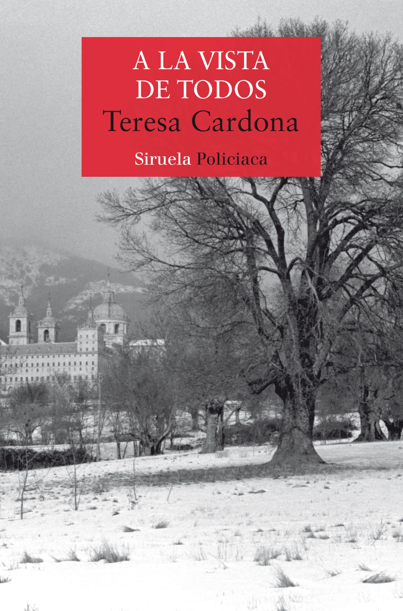 Libro: A la vista de todos: Serie de Blecker y Cano 4 (Nuevos Tiempos / Policiaca)