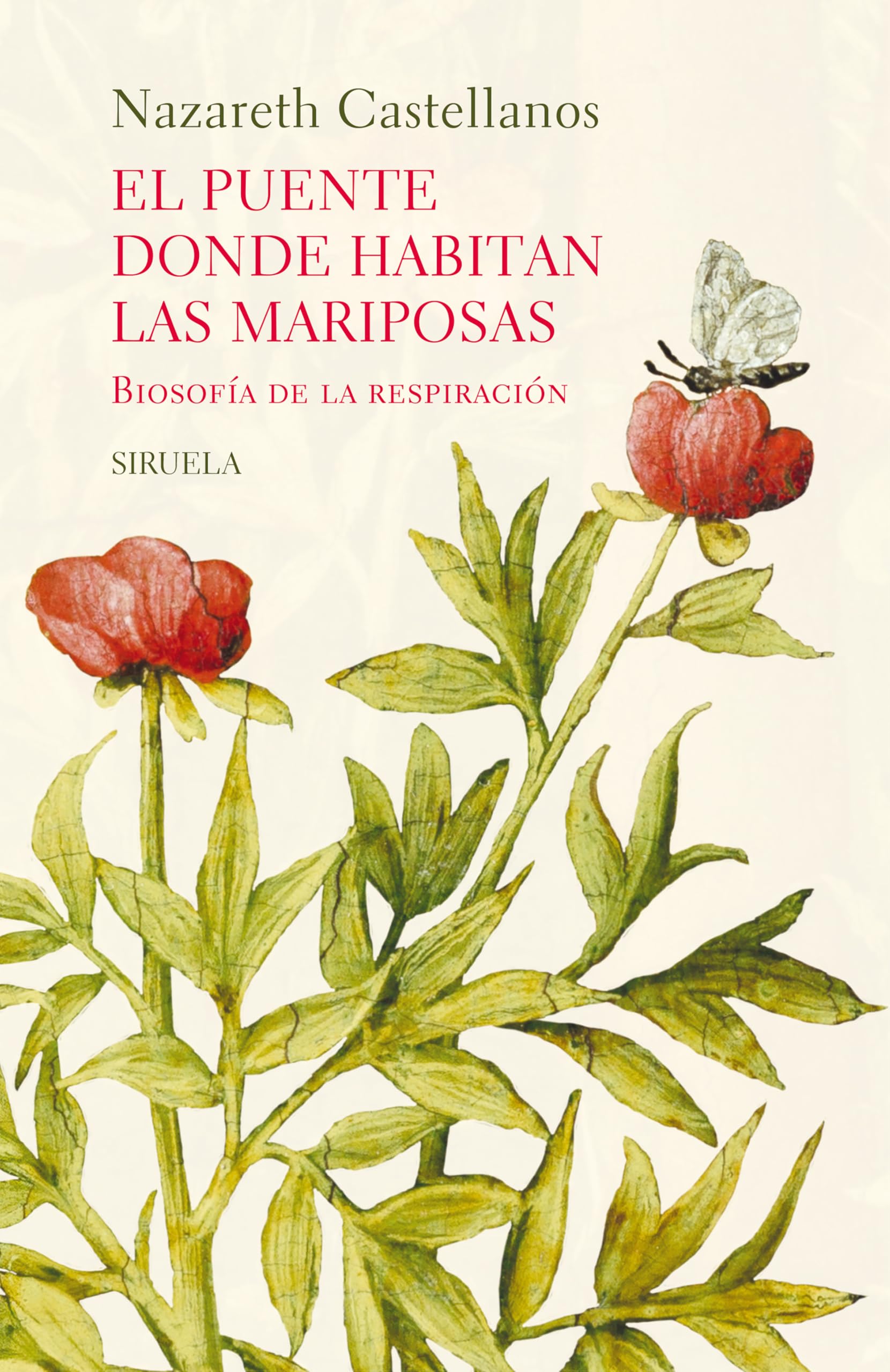 El puente donde habitan las mariposas: Biosofía de la respiración: 160 (El Ojo del Tiempo)