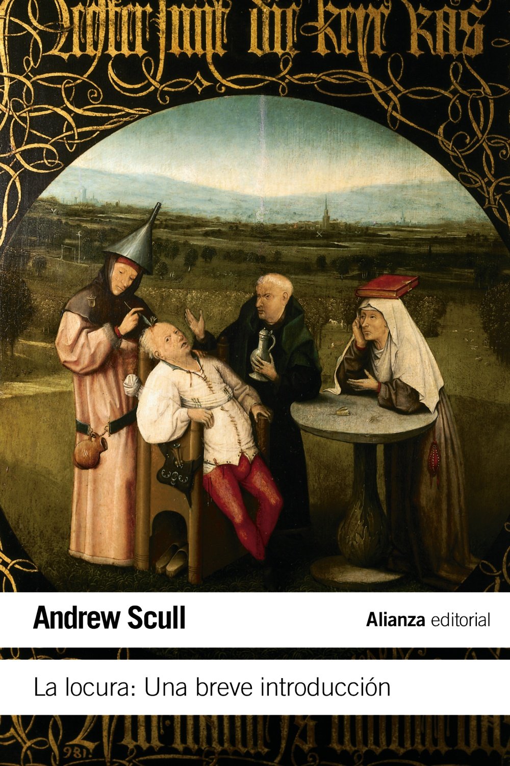 Libro: La locura. Una breve introducción (Spanish Edition)