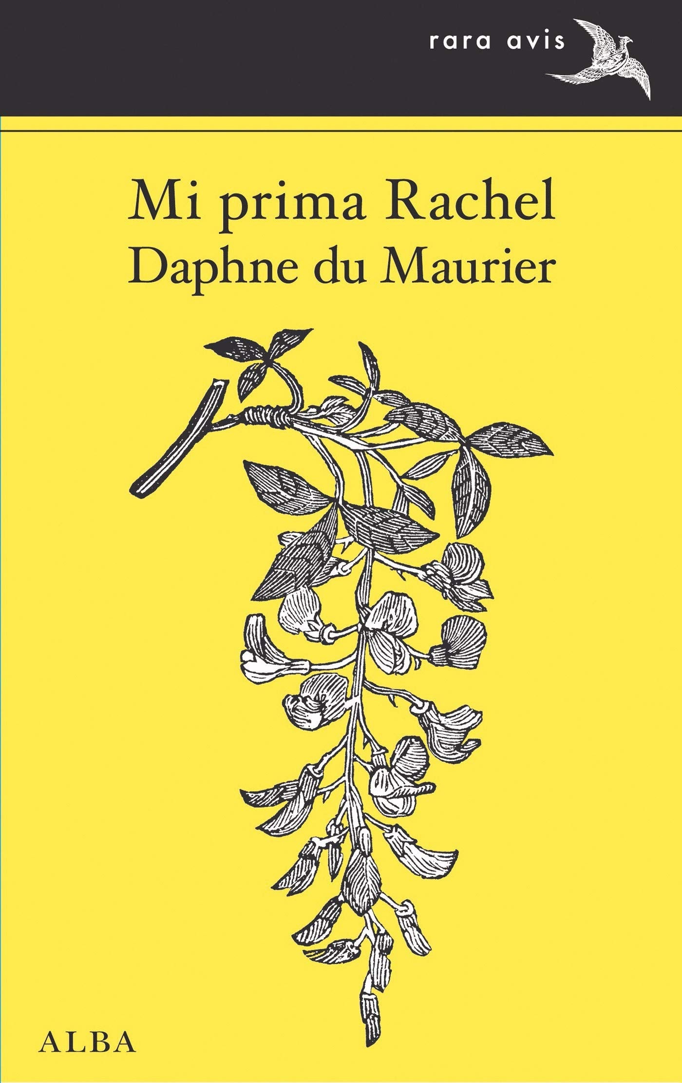 Libro: Mi prima Rachel