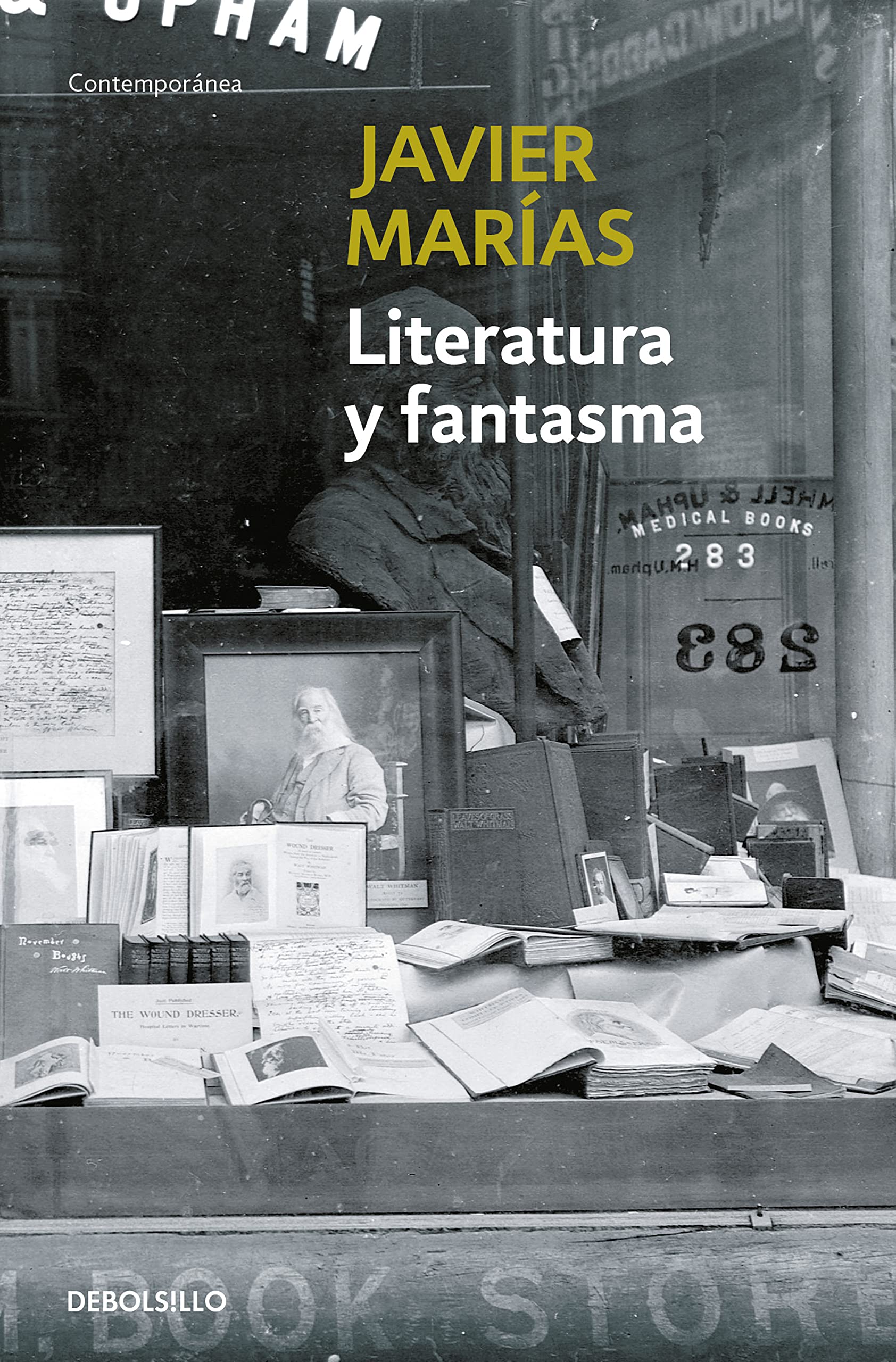 Libro: Literatura y fantasma (Contemporánea)