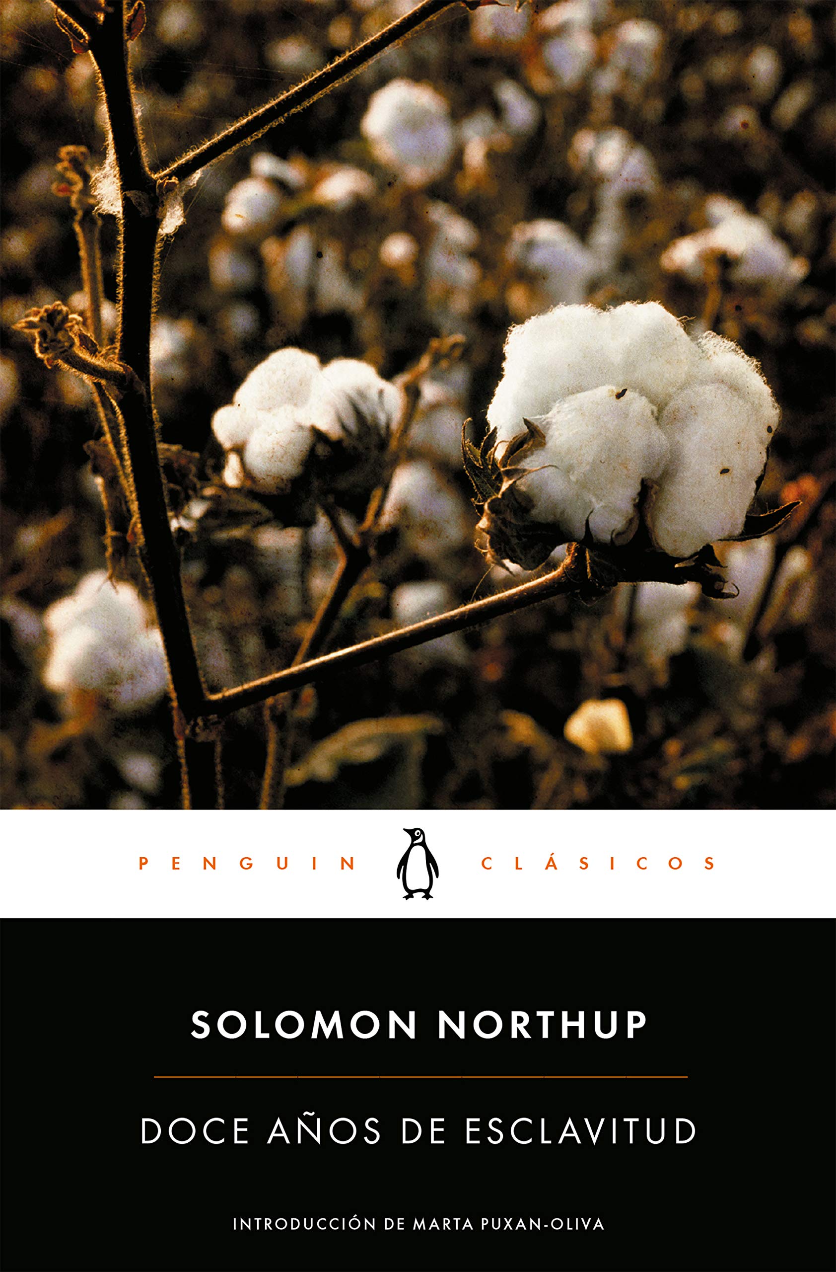Libro: Doce años de esclavitud / Twelve Years a Slave (Spanish Edition)