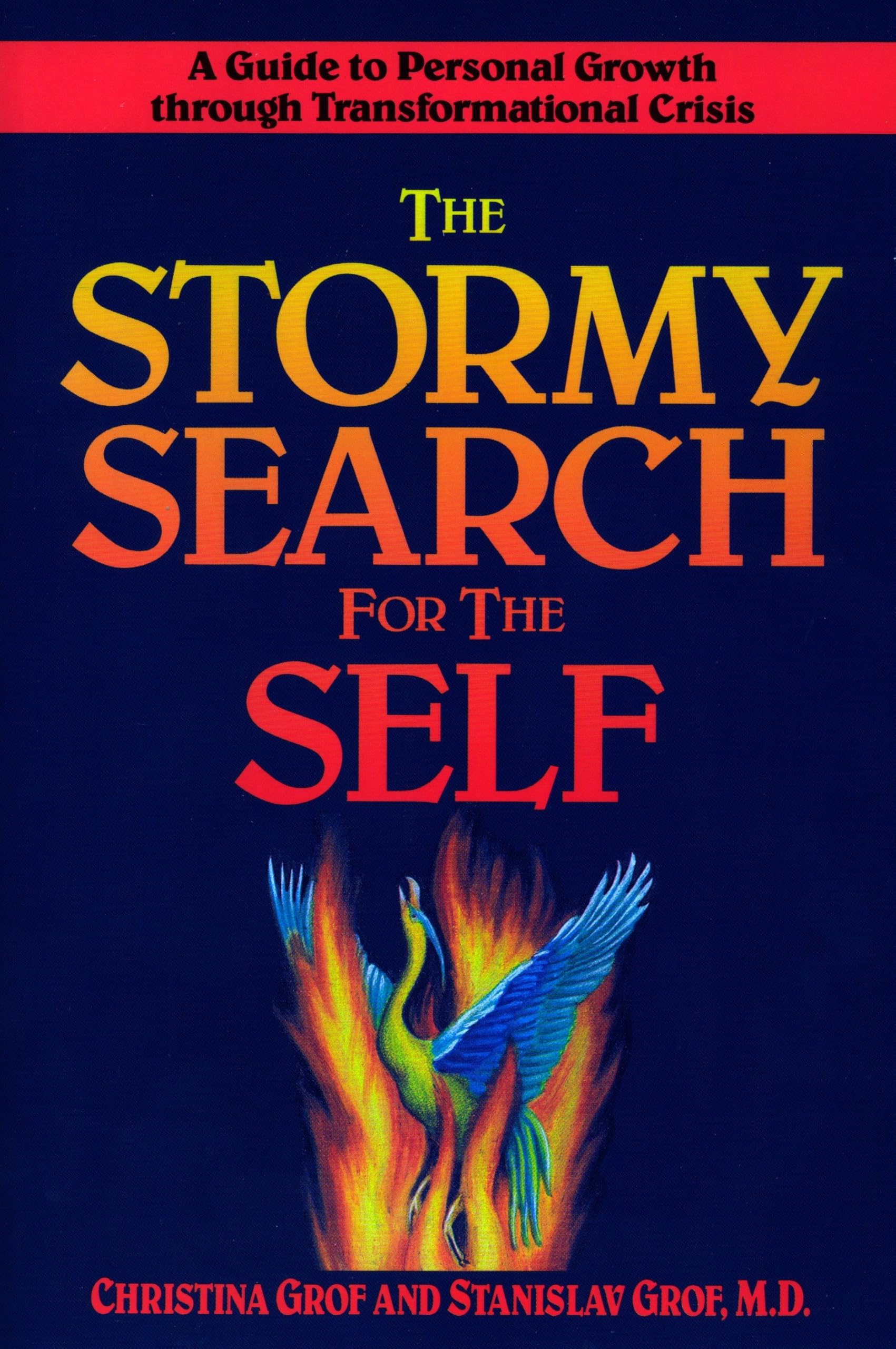 Libro: The Stormy Search for the Self: A Guide to Personal Growth through Transformational Crisis