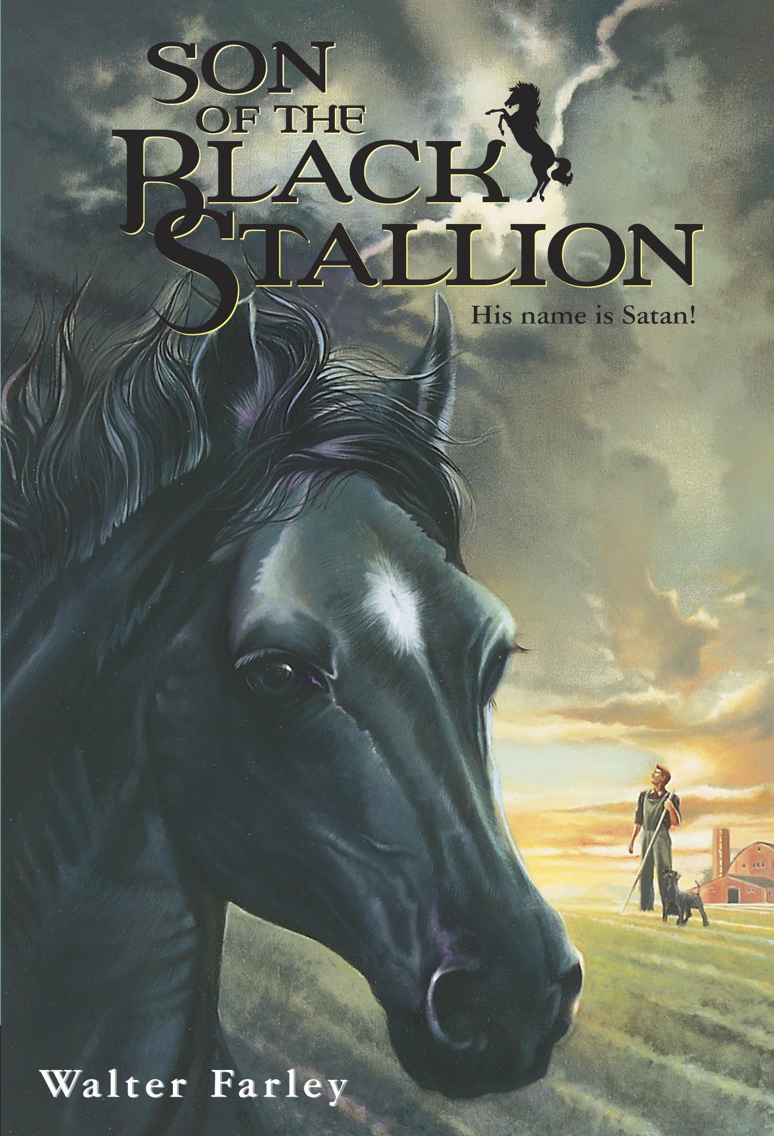 Libro: Son of the Black Stallion