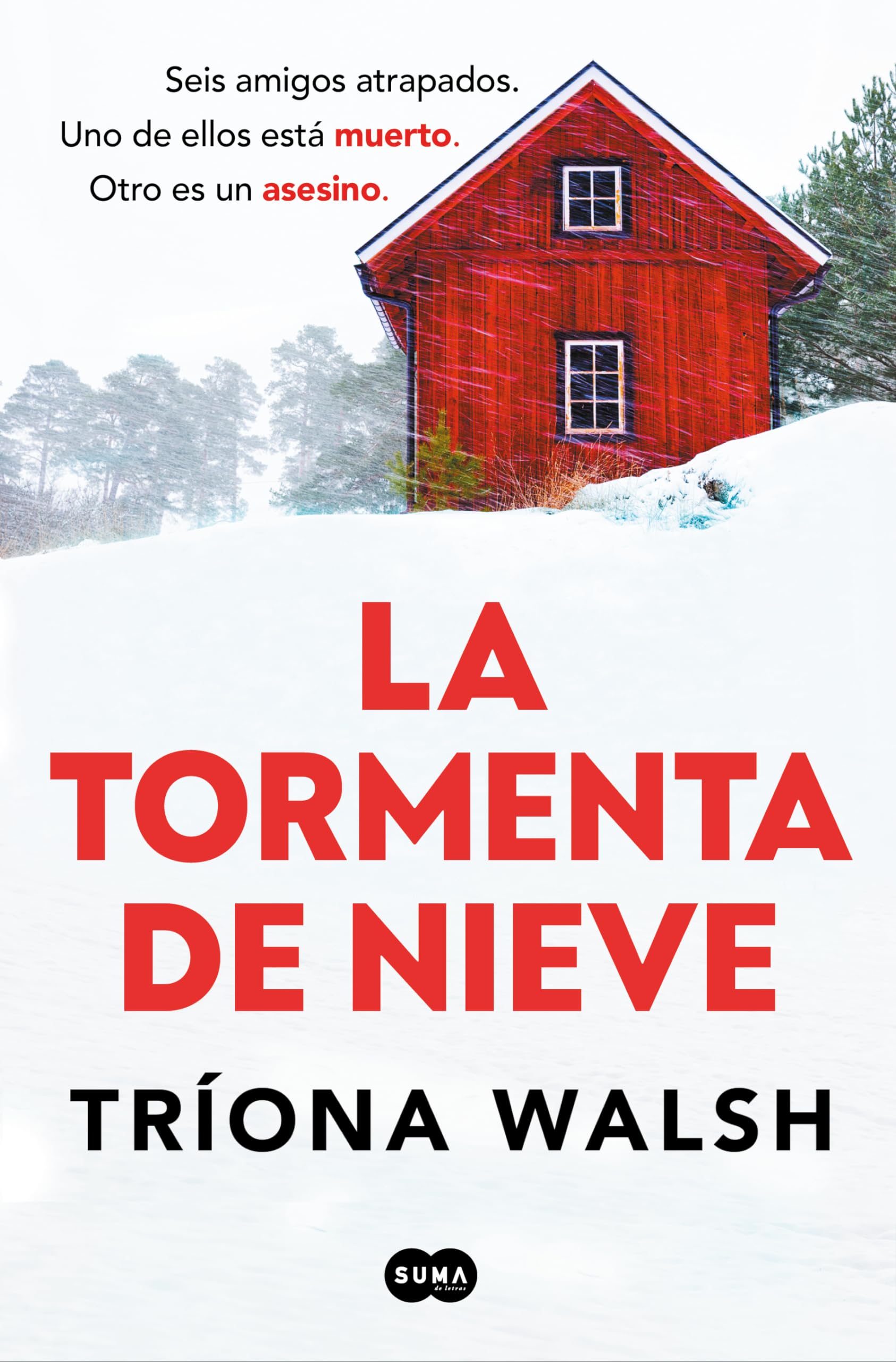 Libro: Tormenta de nieve