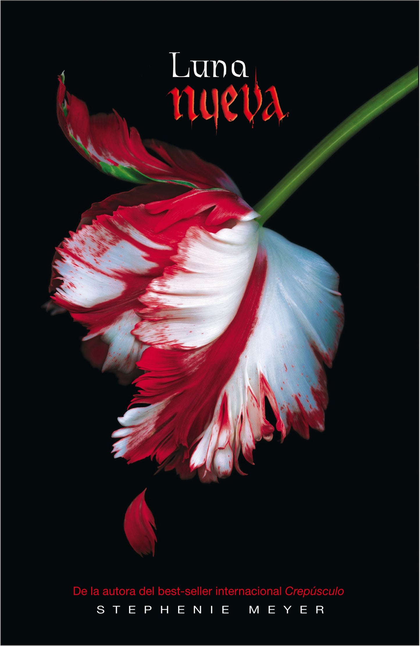 Libro: Luna nueva (Saga Crepúsculo 2)