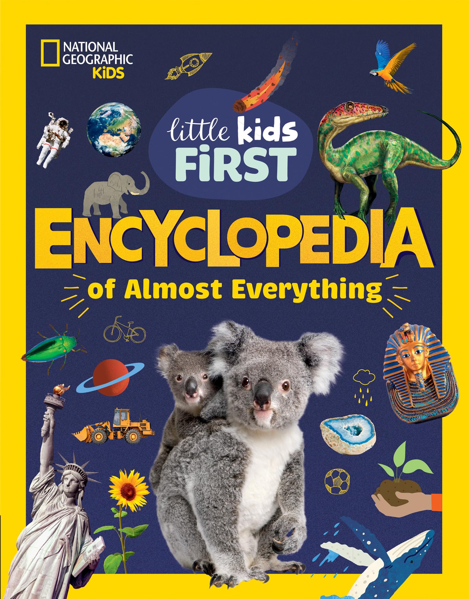Libro: Little Kids First Encyclopedia of Almost Everything