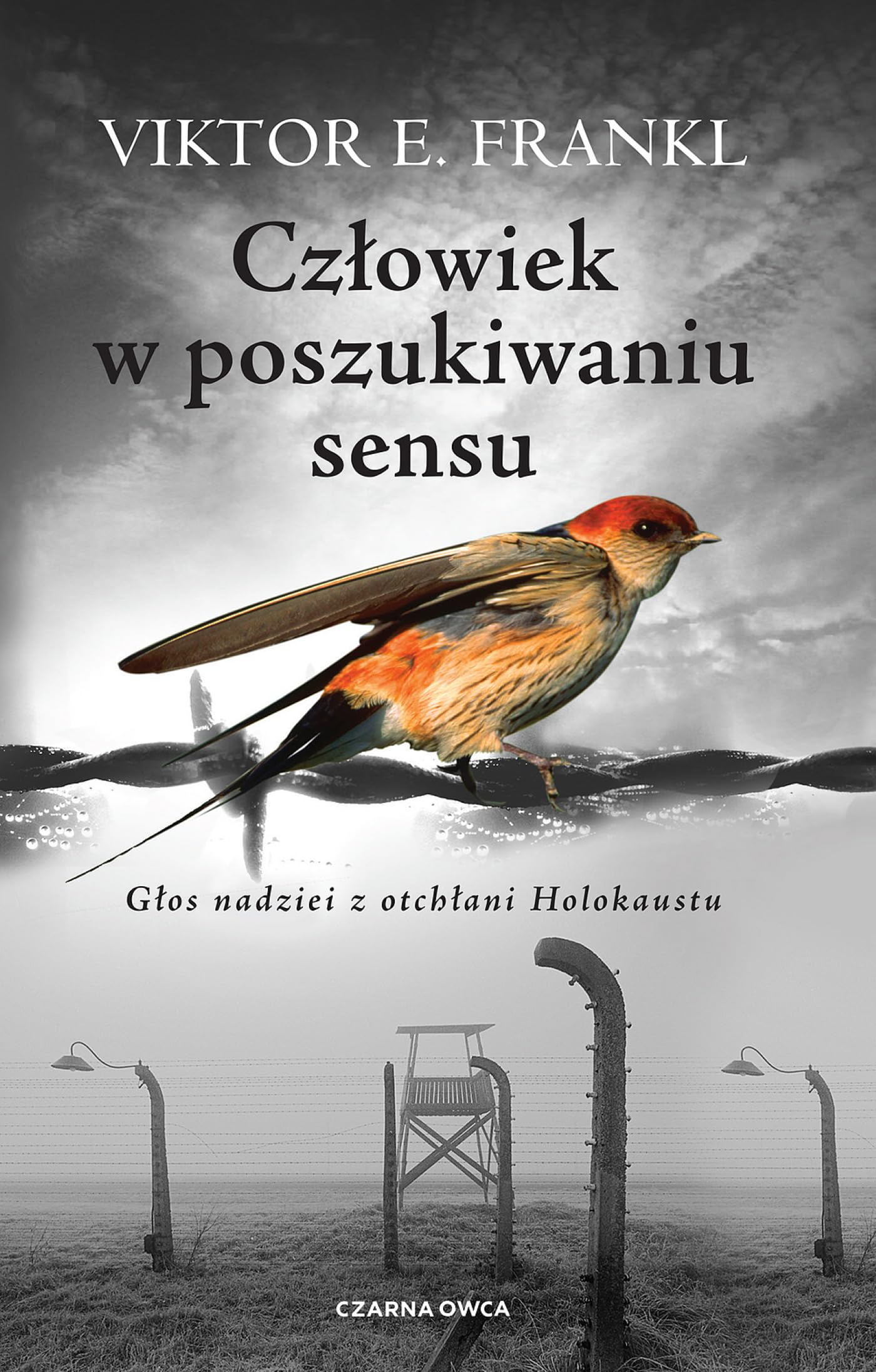 Libro: Człowiek w poszukiwaniu sensu