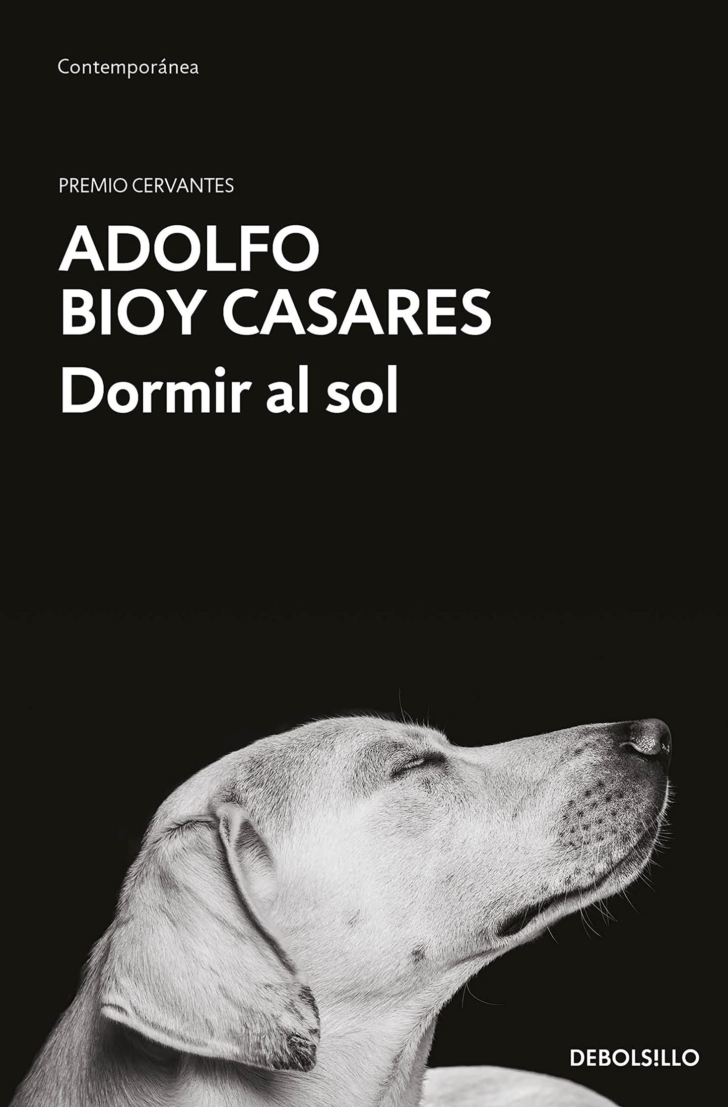 Libro: Dormir al sol (Contemporánea)