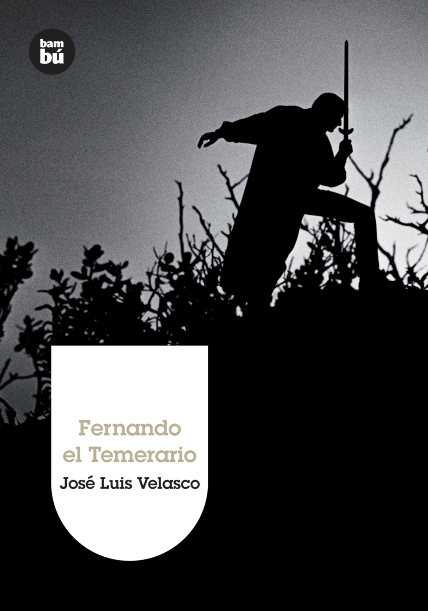 Libro: Fernando el Temerario (Grandes Lectores)