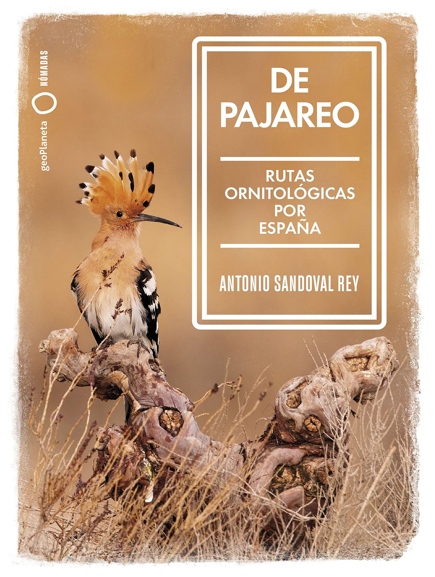Libro: De pajareo: Rutas ornitológicas por España (Nómadas)
