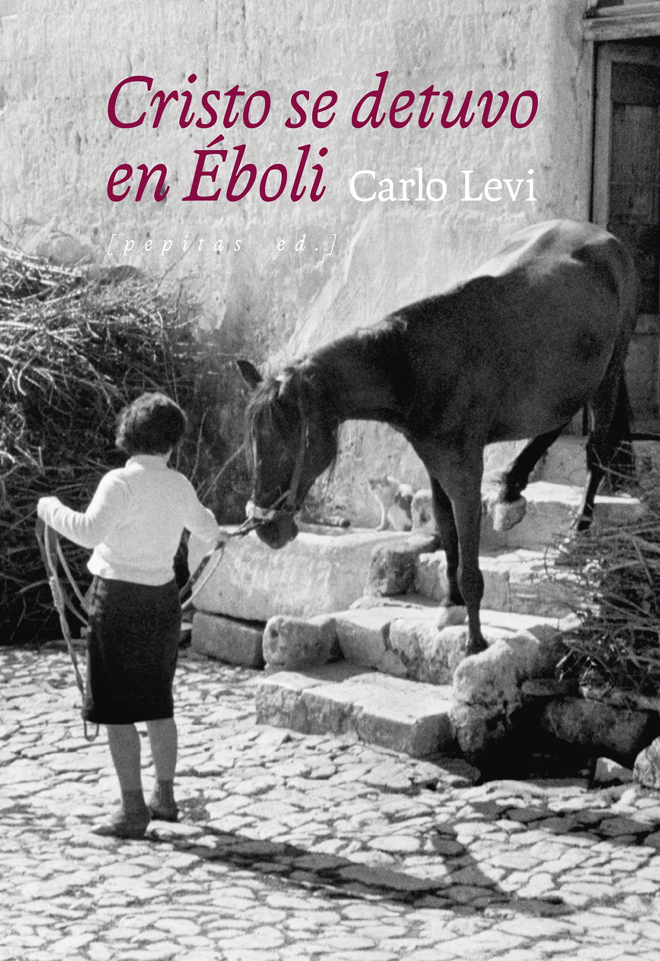 Libro: Cristo se detuvo en Éboli