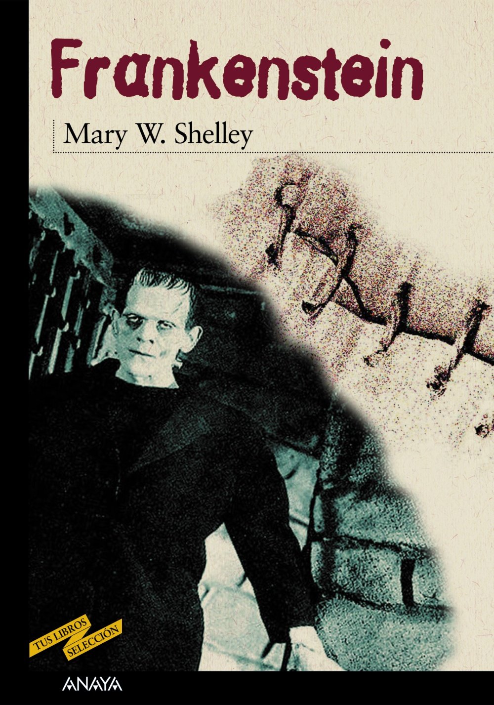Libro: Frankenstein (CLÁSICOS - Tus Libros-Selección)