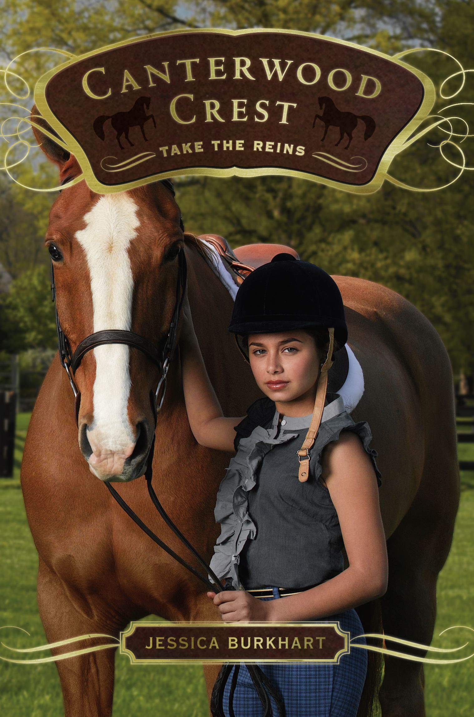 Libro: Take the Reins: Volume 1 (Canterwood Crest)