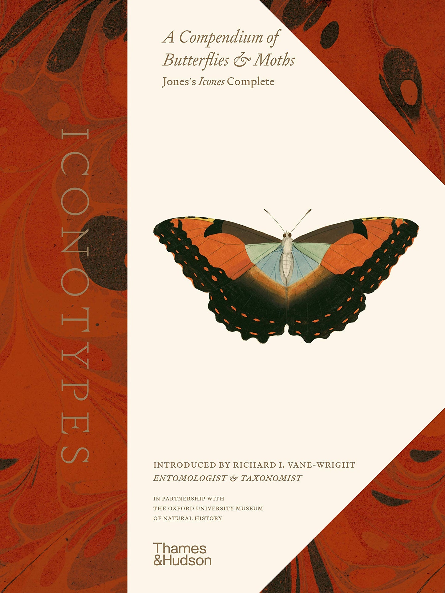 Libro: Iconotypes: A compendium of butterflies and moths. Jones’s Icones Complete