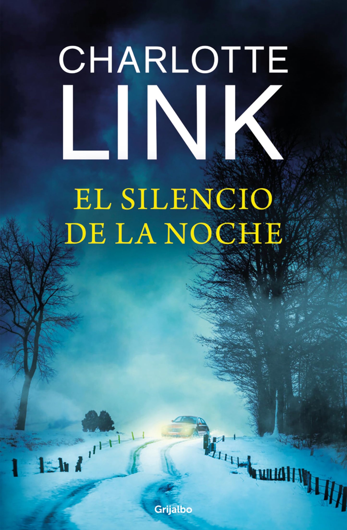 Libro: El silencio de la noche (Kate Linville & Caleb Hale 4) (Novela de intriga)