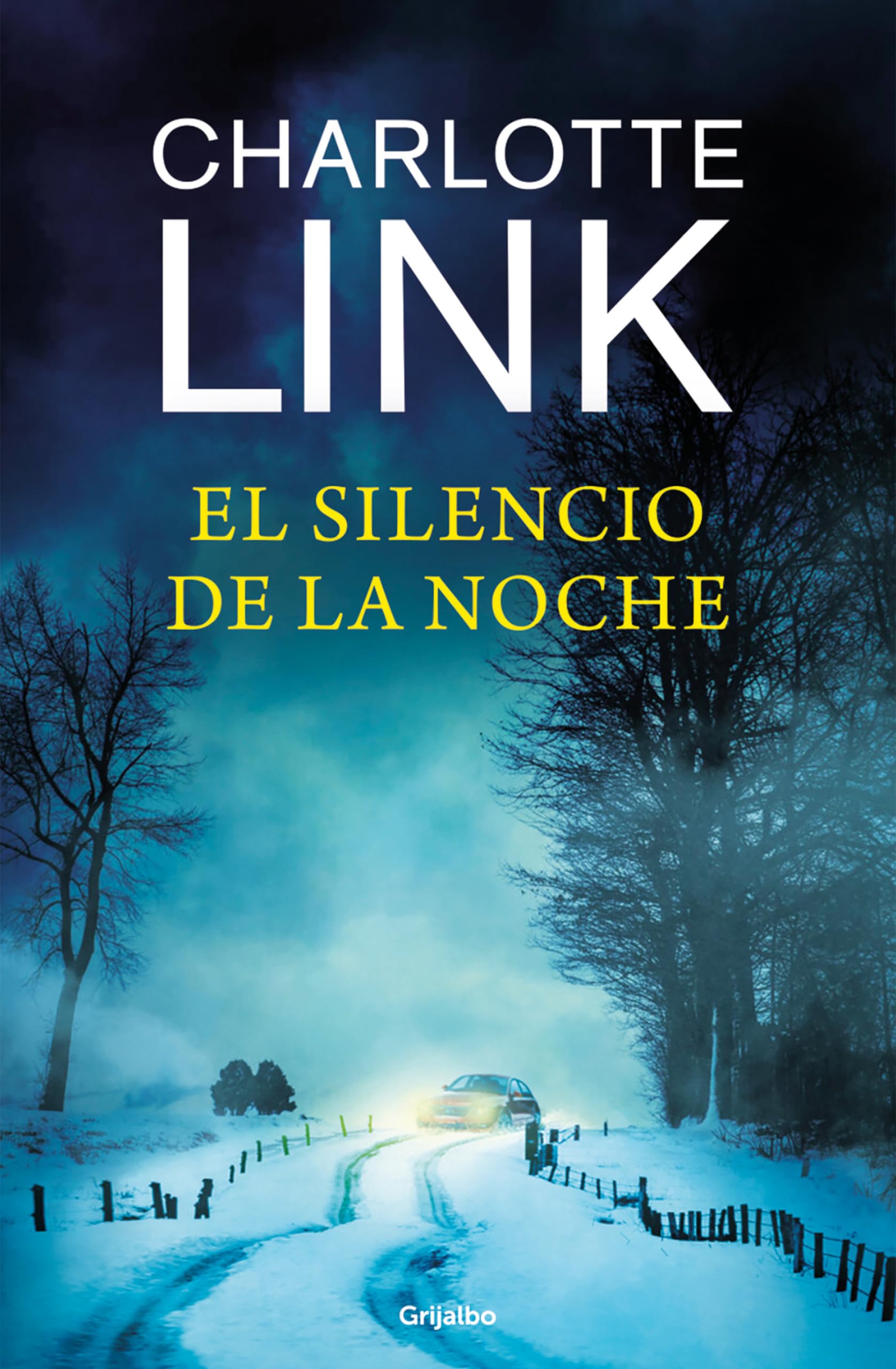 Libro: El silencio de la noche (Kate Linville & Caleb Hale 4) (Novela de intriga)