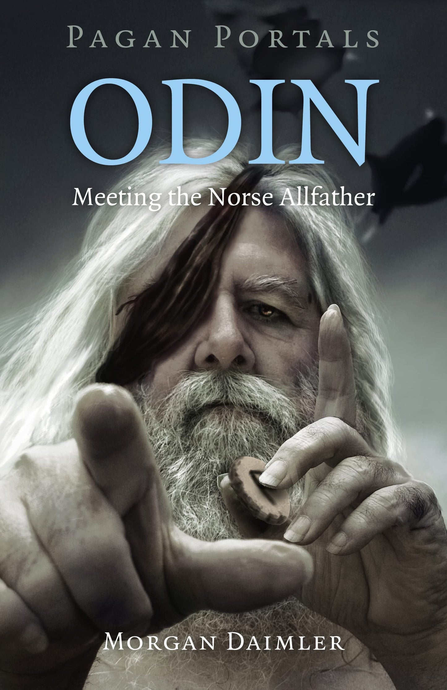 Libro: Pagan Portals - Odin: Meeting the Norse Allfather