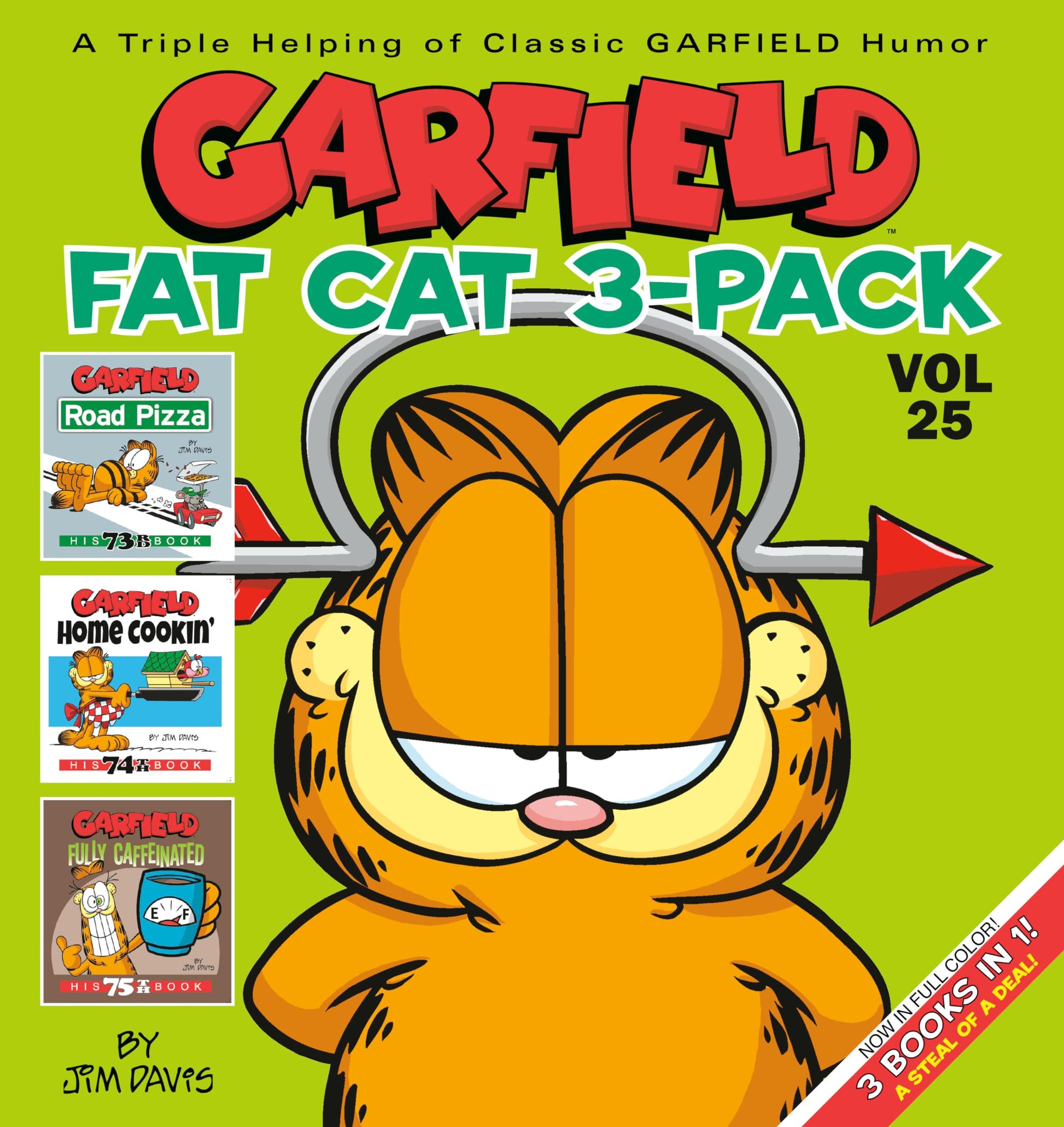Libro: Garfield Fat Cat 3-Pack #25