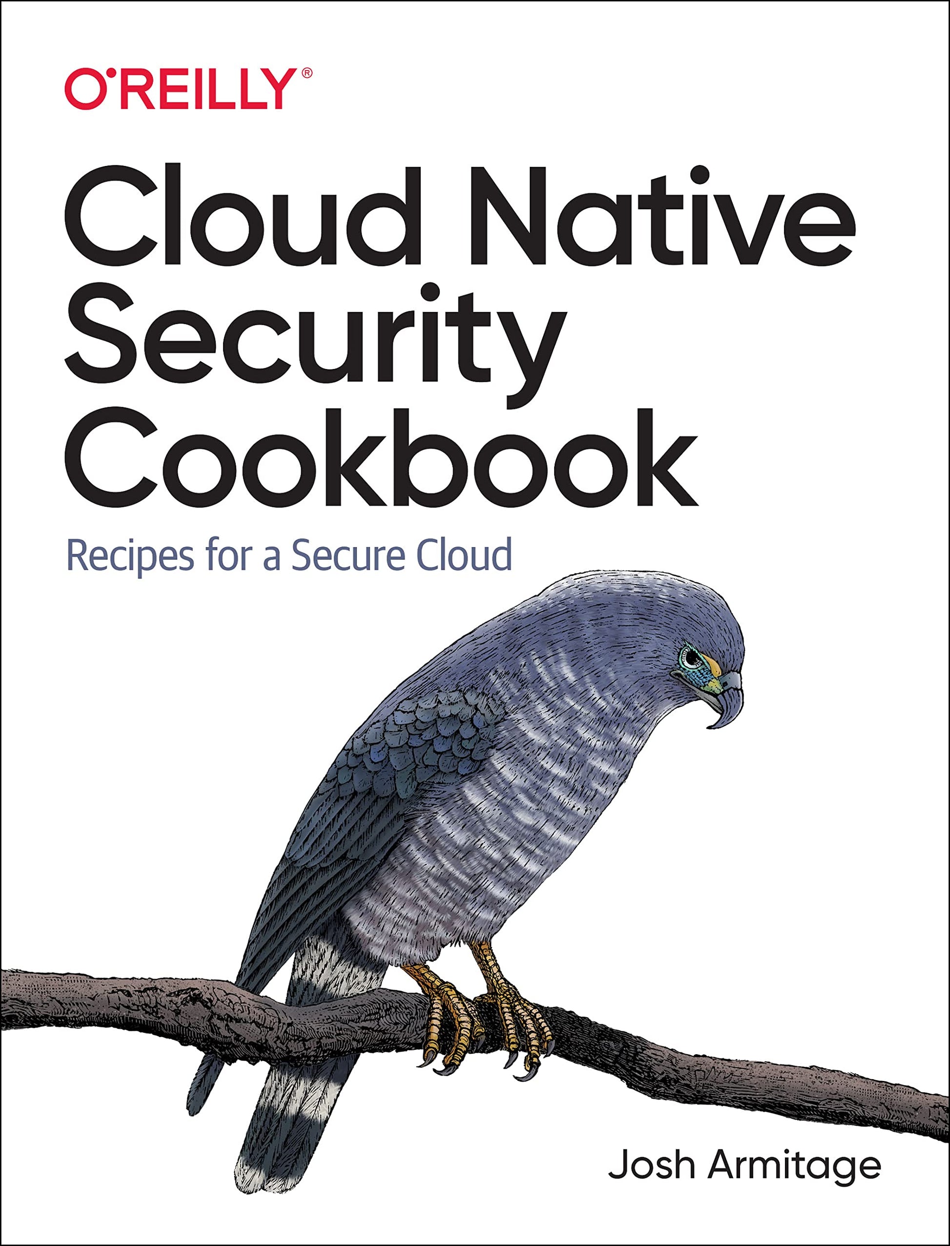 Libro: Cloud Native Security Cookbook: Recipes for a Secure Cloud