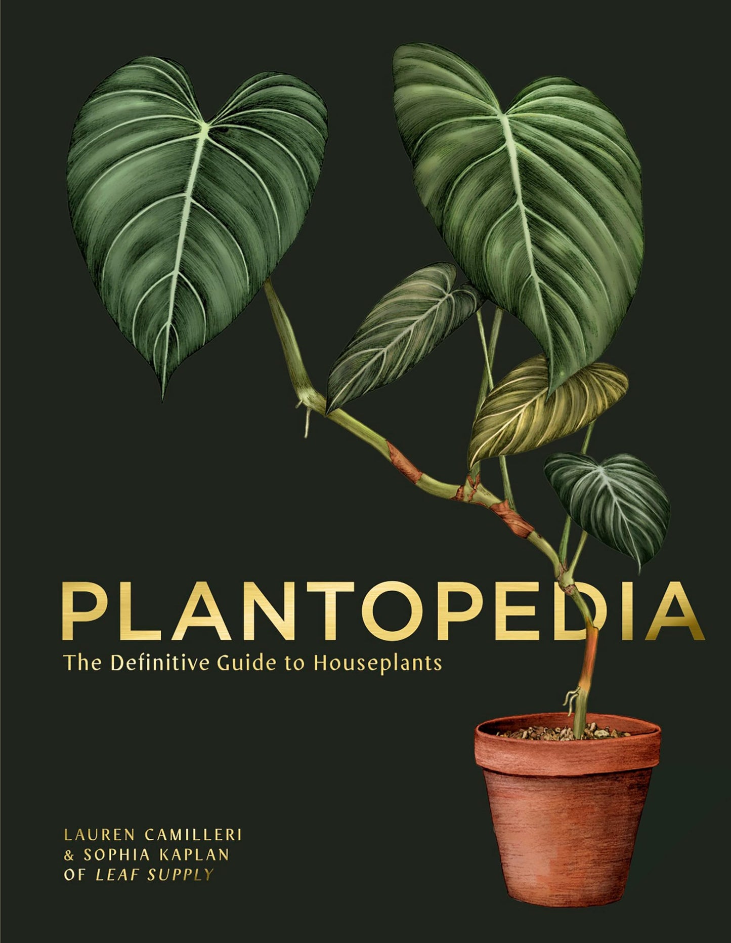 Libro: Plantopedia: The Definitive Guide to Houseplants