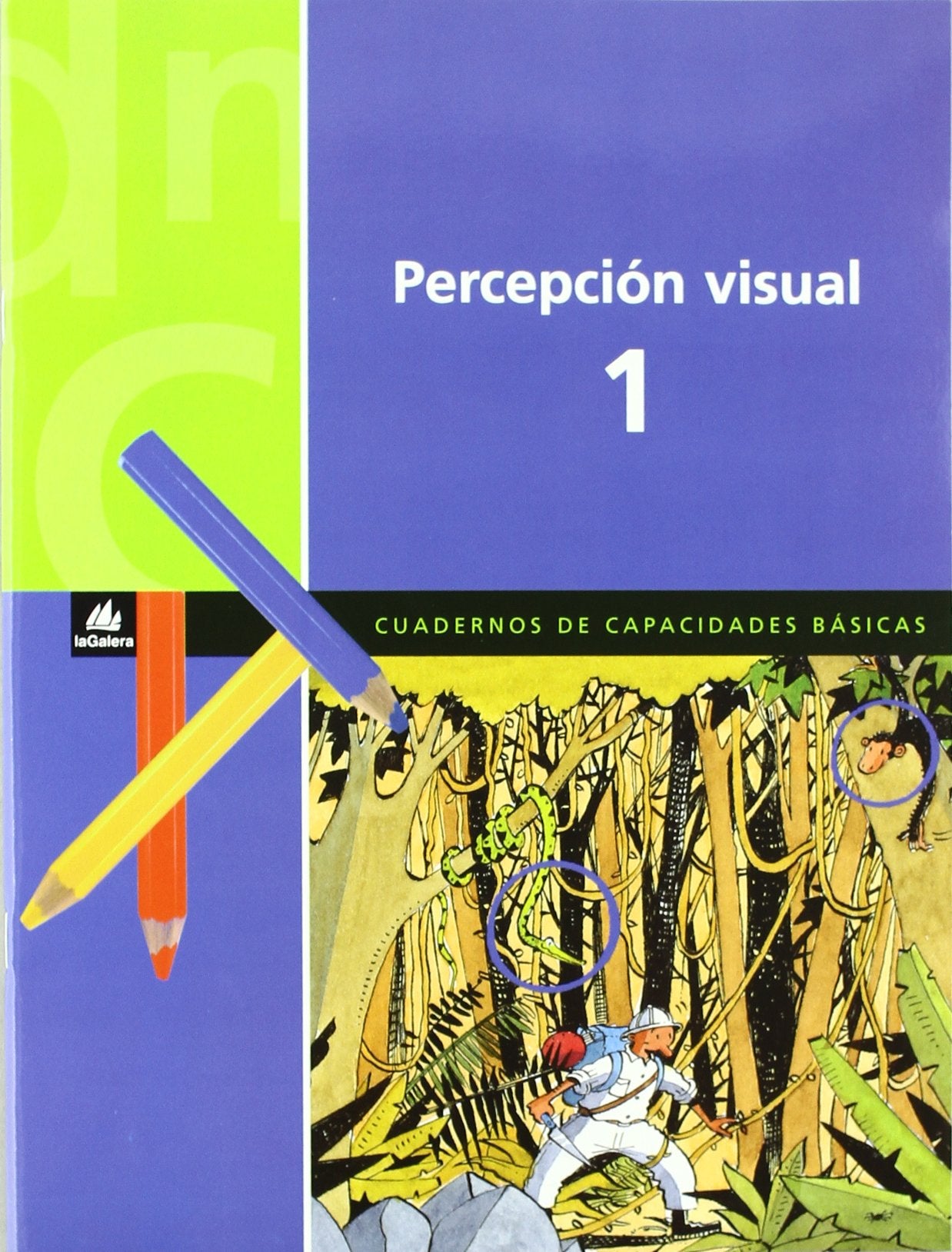 Libro: Percepción visual 1