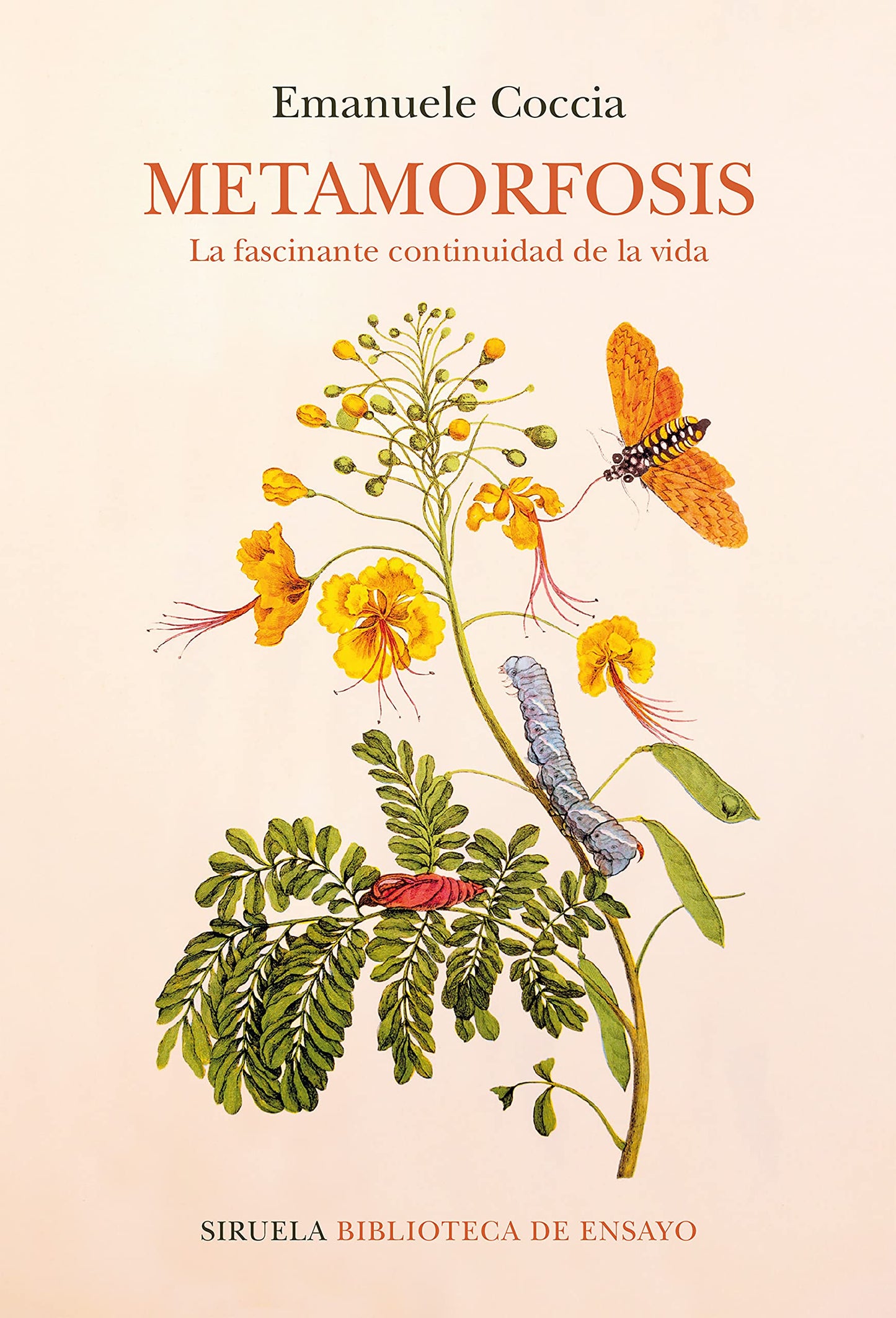 Libro: Metamorfosis: La fascinante continuidad de la vida