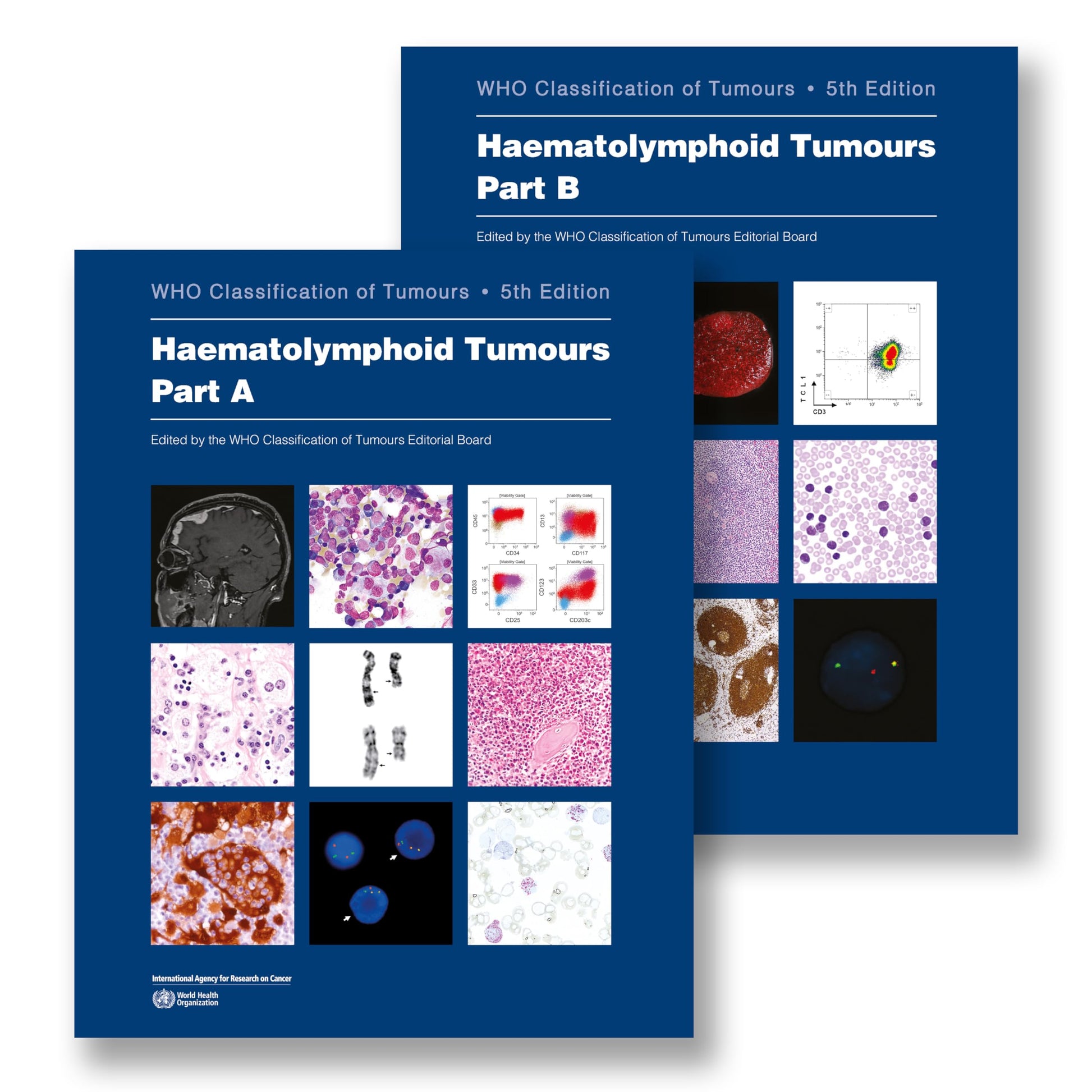 Libro: Haematolymphoid Tumours: WHO Classification of Tumours