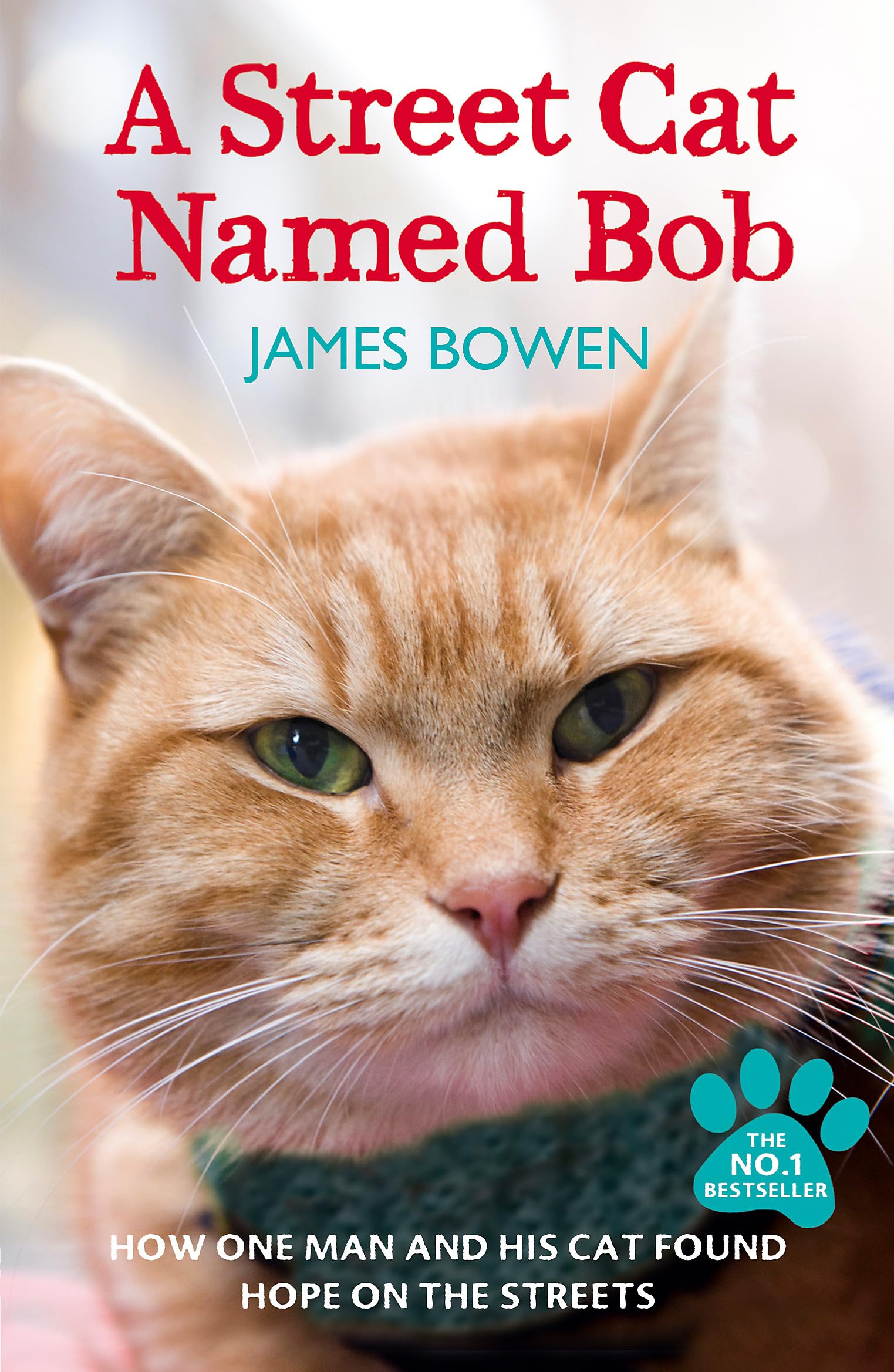 Libro: Street Cat Named Bob