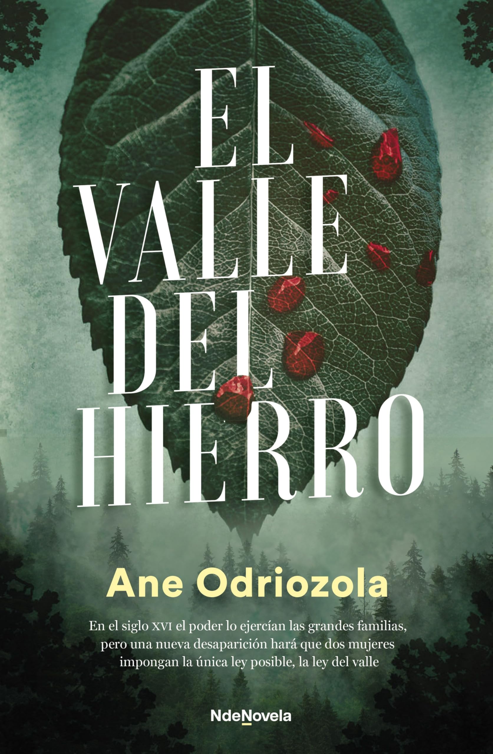 Libro: El valle del hierro (NdeNovela)