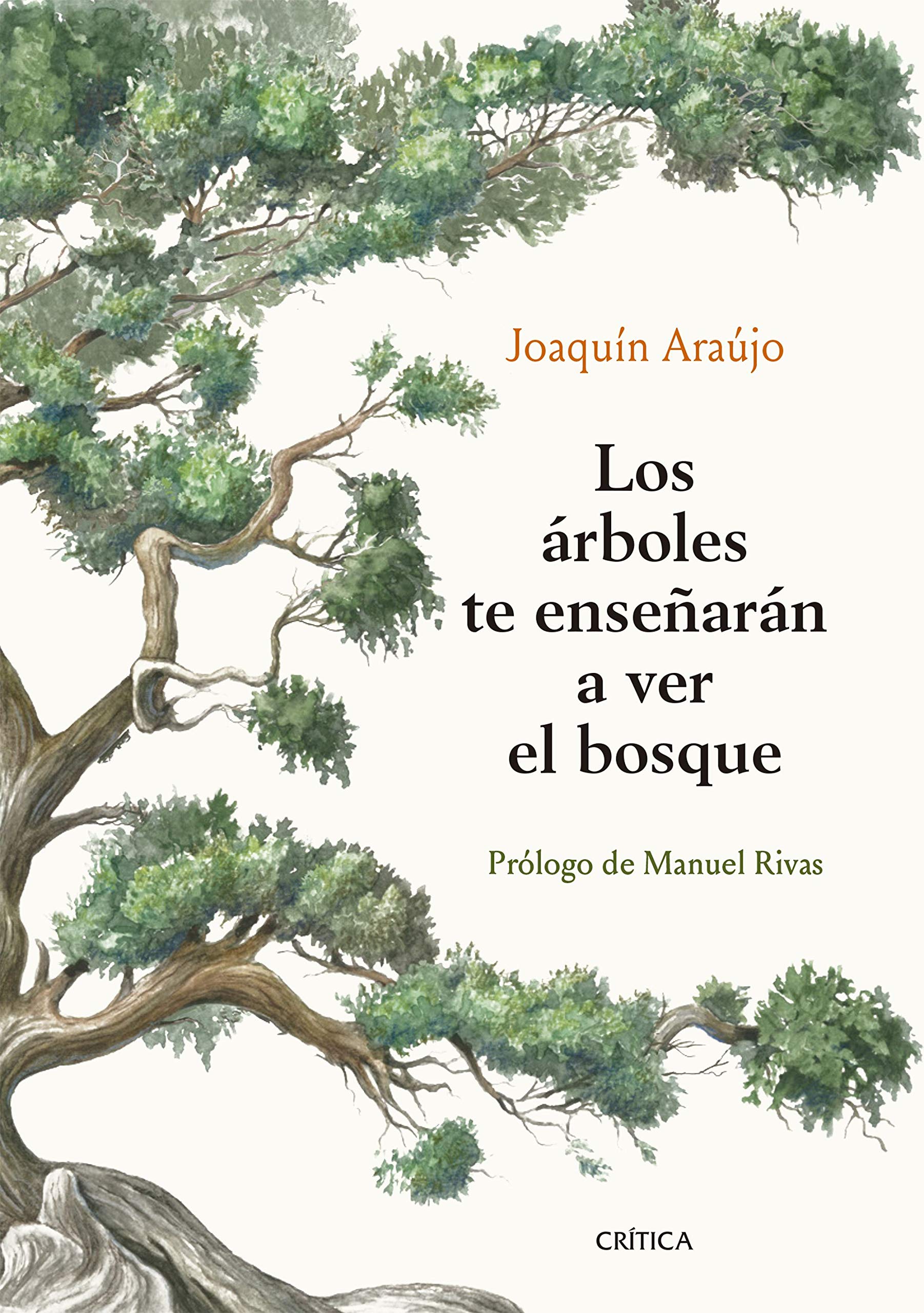 Libro: Los árboles te enseñarán a ver el bosque: Prólogo de Manuel Rivas (Ares y Mares)