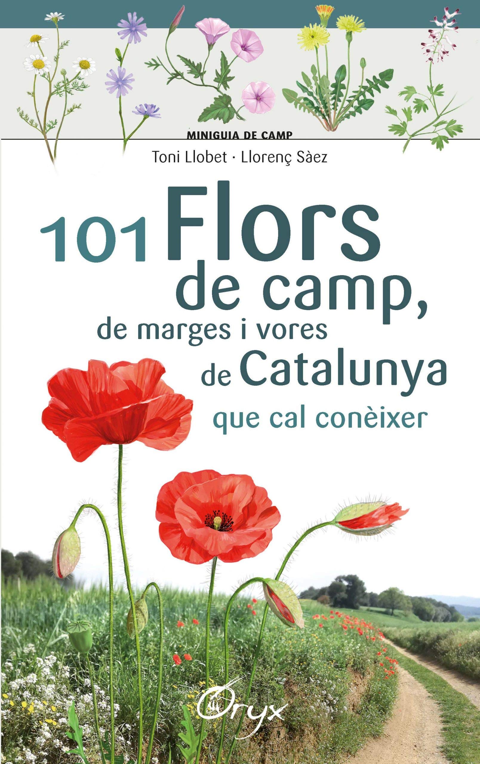 Libro: 101 Flors De Camp, De Marges I Vores De Catalunya: que cal conèixer (Miniguia de camp)