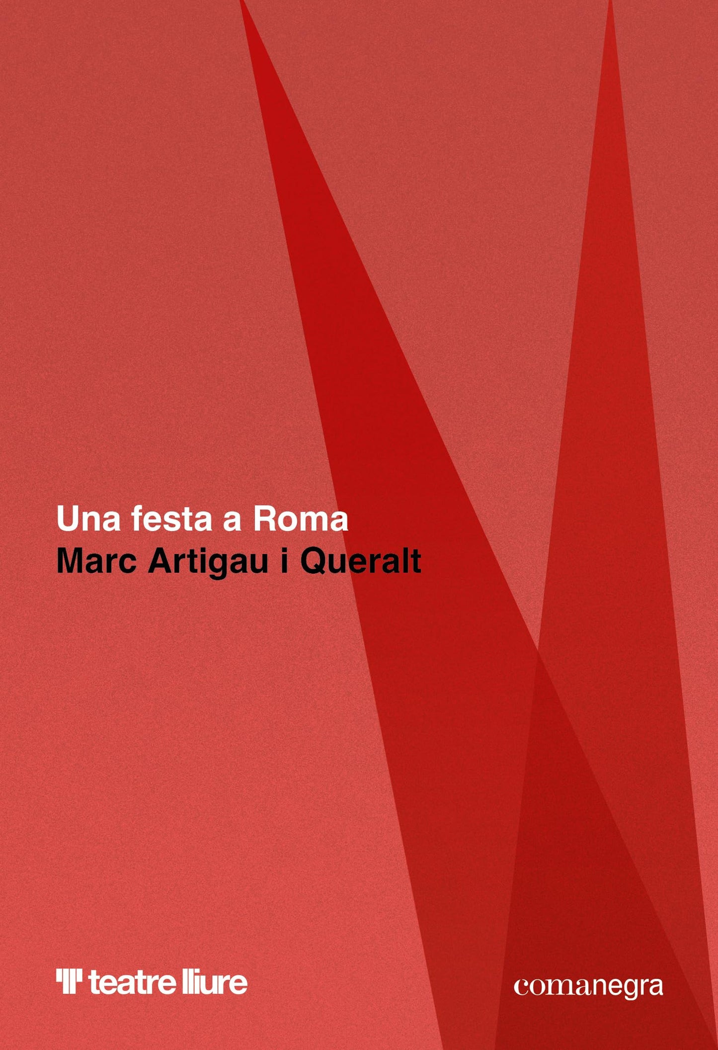 Libro: Una festa a Roma