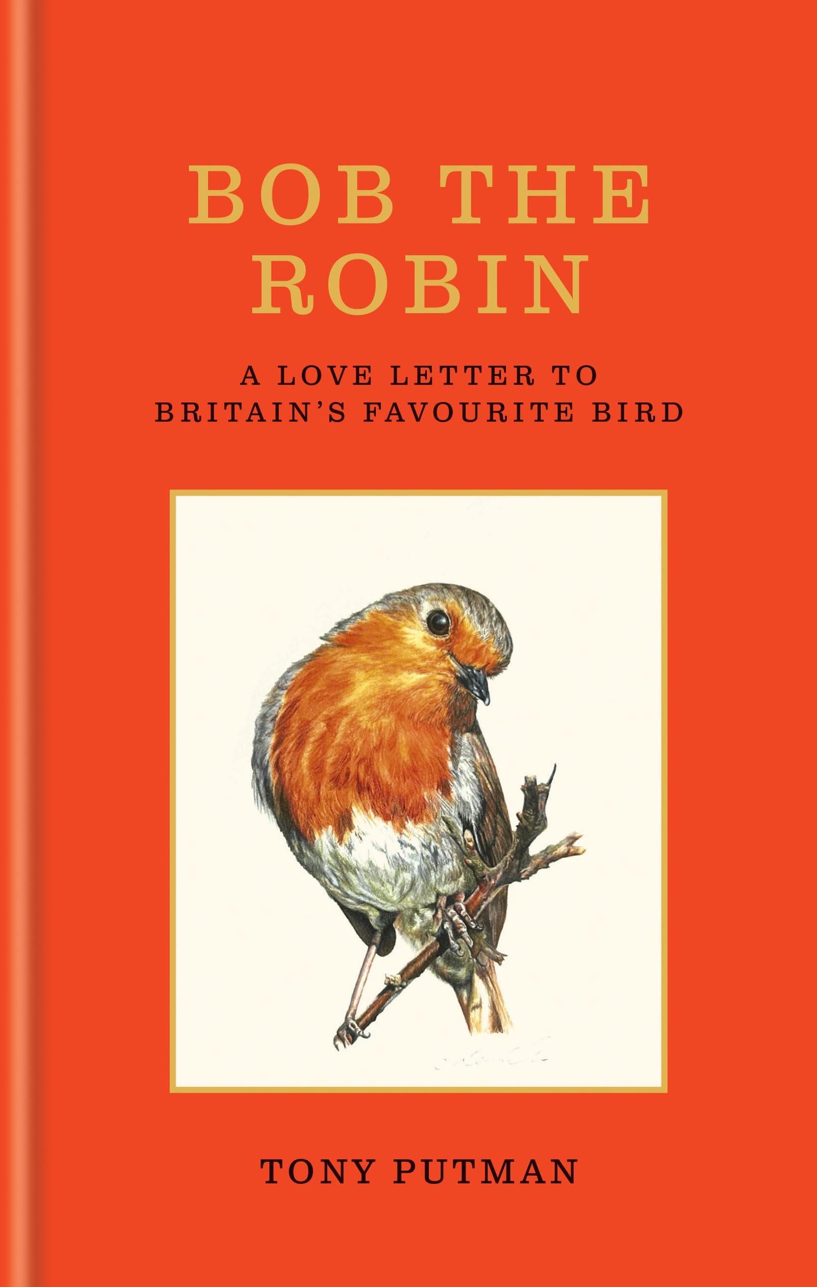 Libro: Bob the Robin: A love letter to Britain’s favourite bird