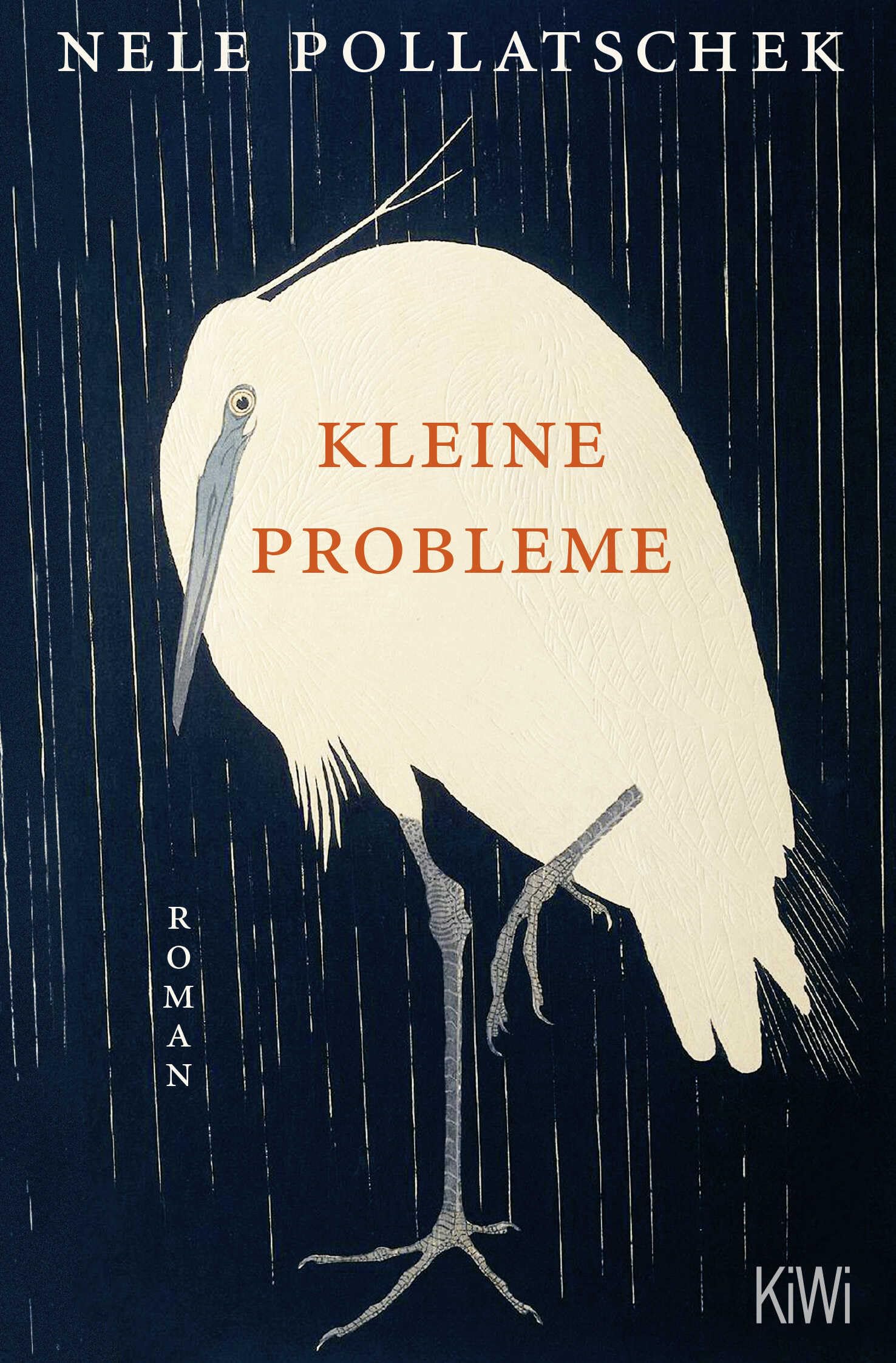 Libro: Pollatschek, Nele/Kleine Probleme