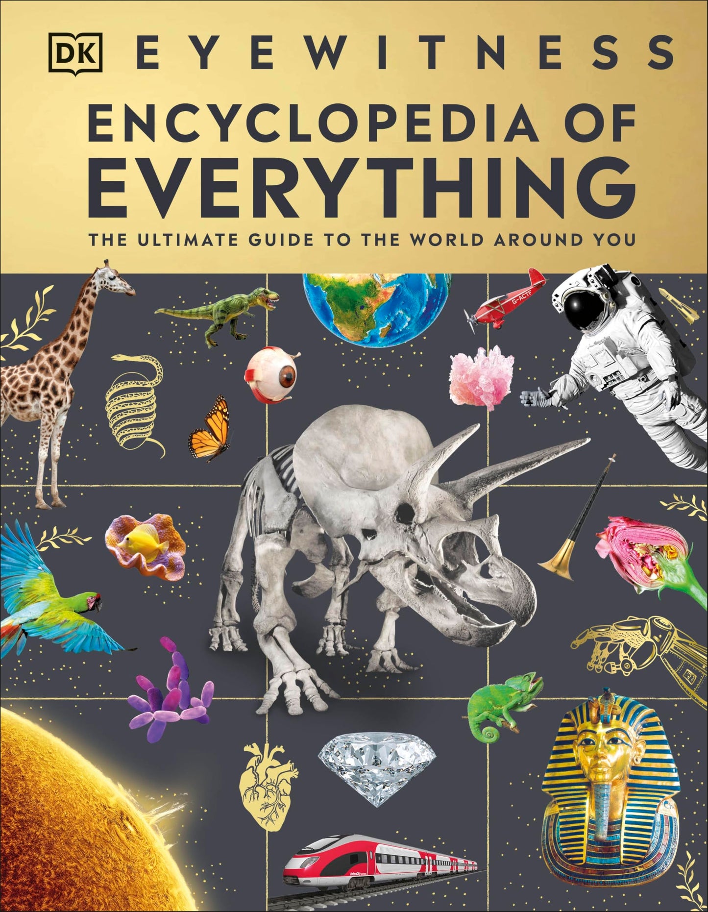 Libro: DK Eyewitness Encyclopedia of Everything The Ultimate Guide to the World Around You.