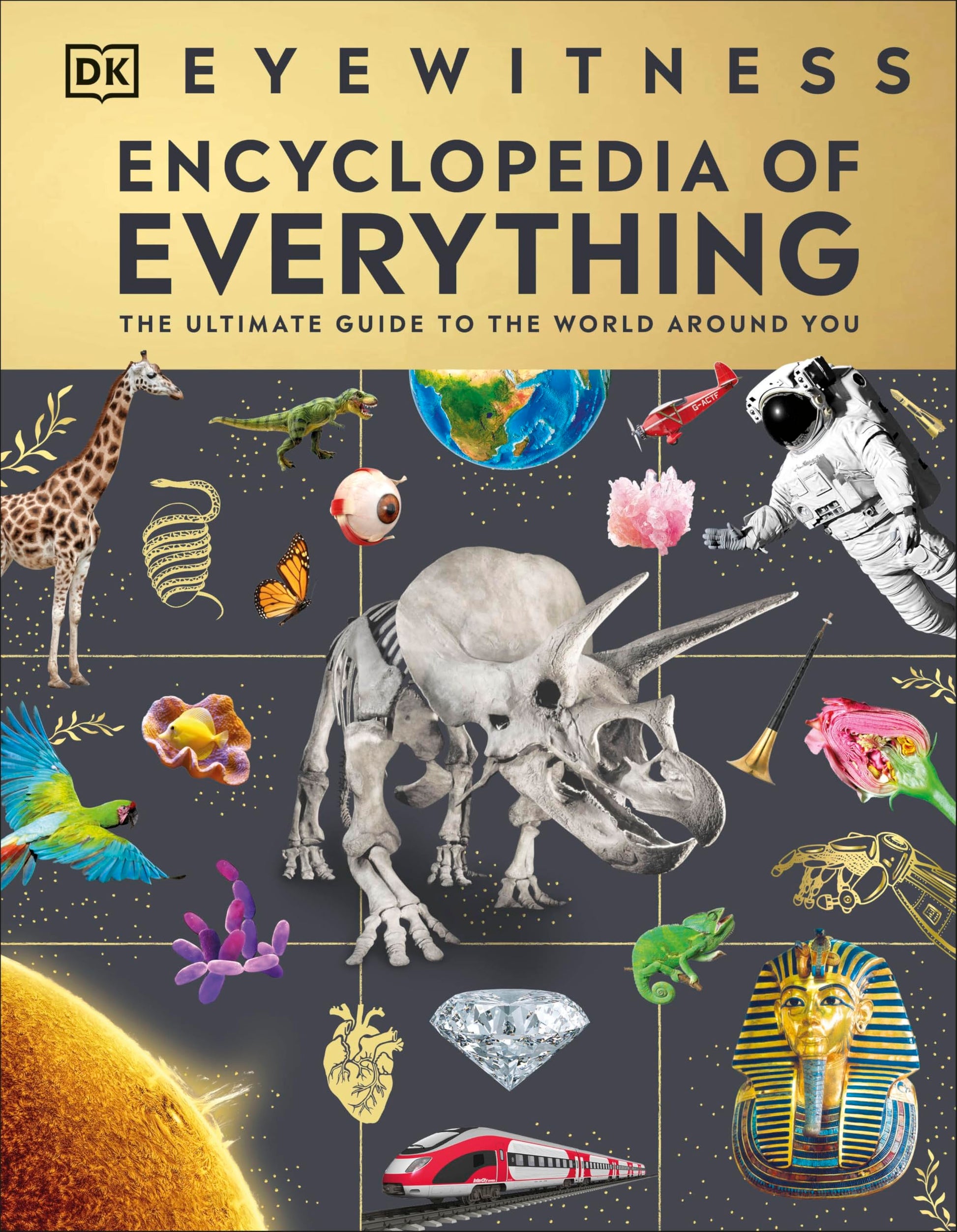 Libro: DK Eyewitness Encyclopedia of Everything The Ultimate Guide to the World Around You.