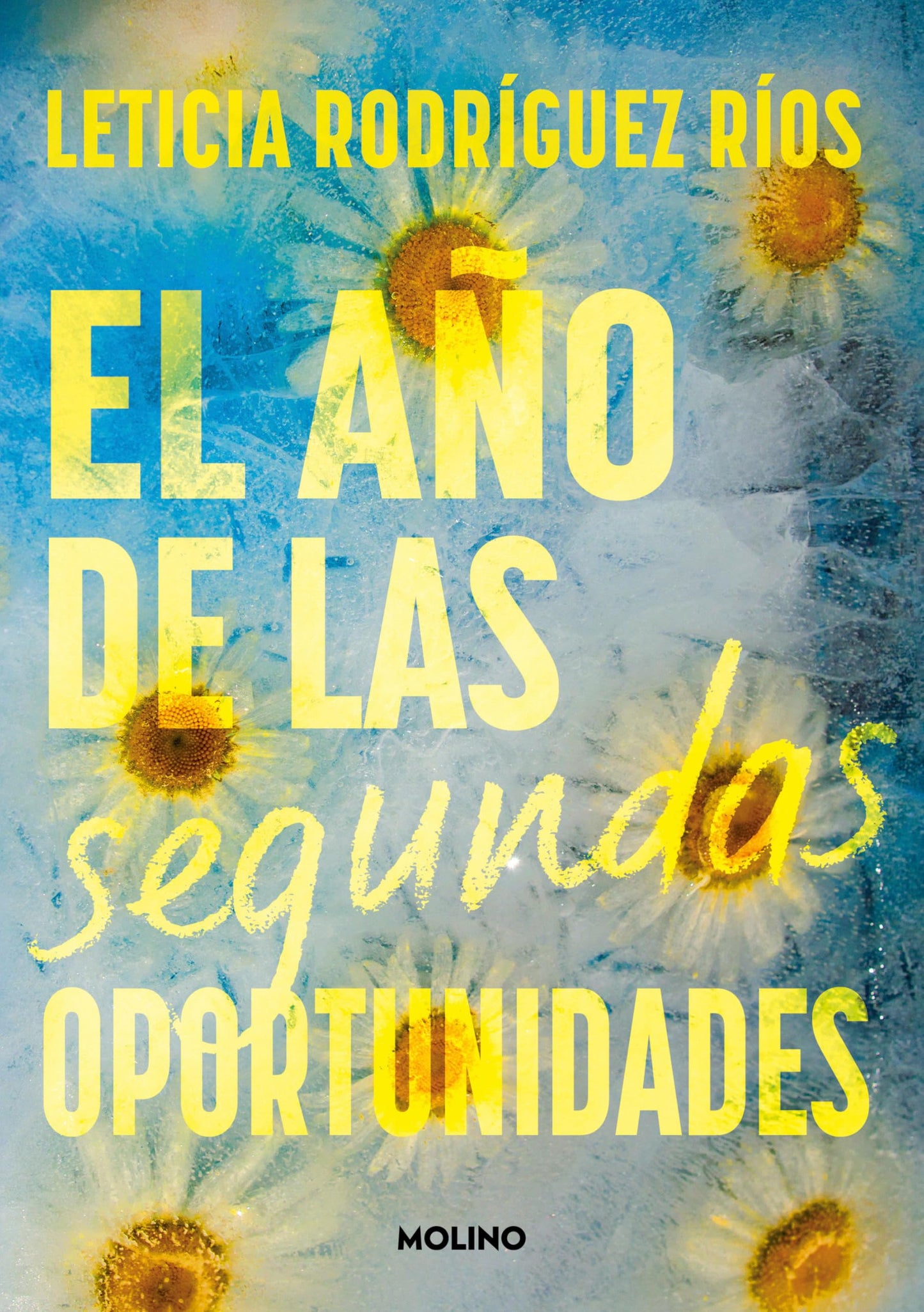 Libro: El año de las segundas oportunidades (Ficción crossover)