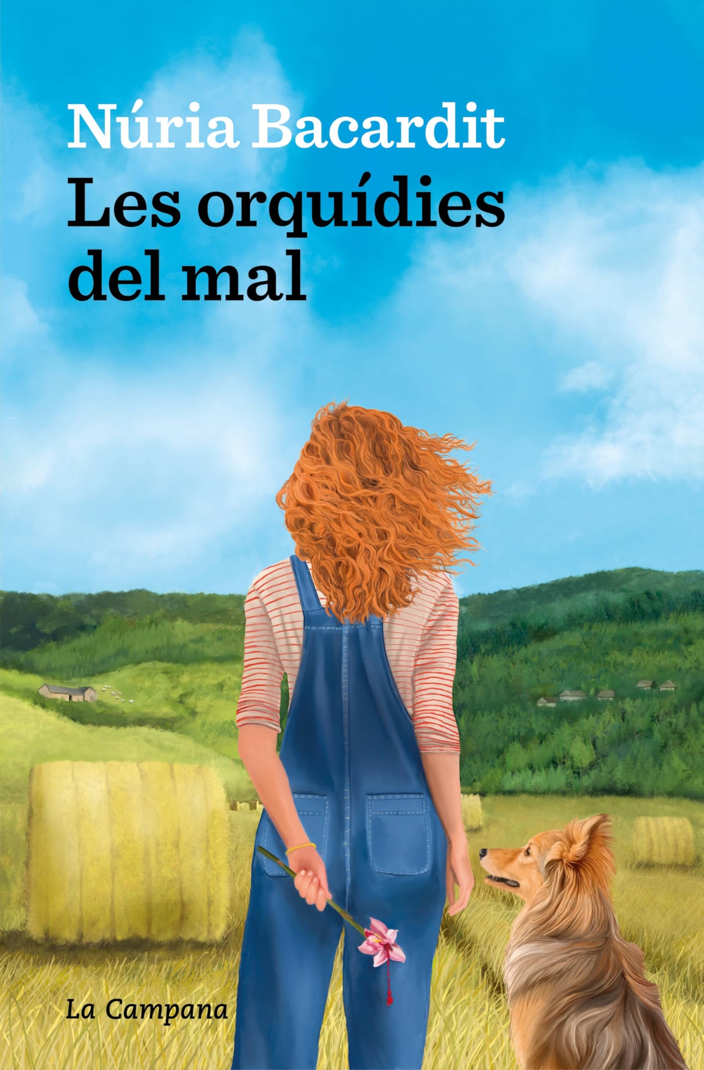 Libro: Les orquídies del mal (Narrativa Catalana)