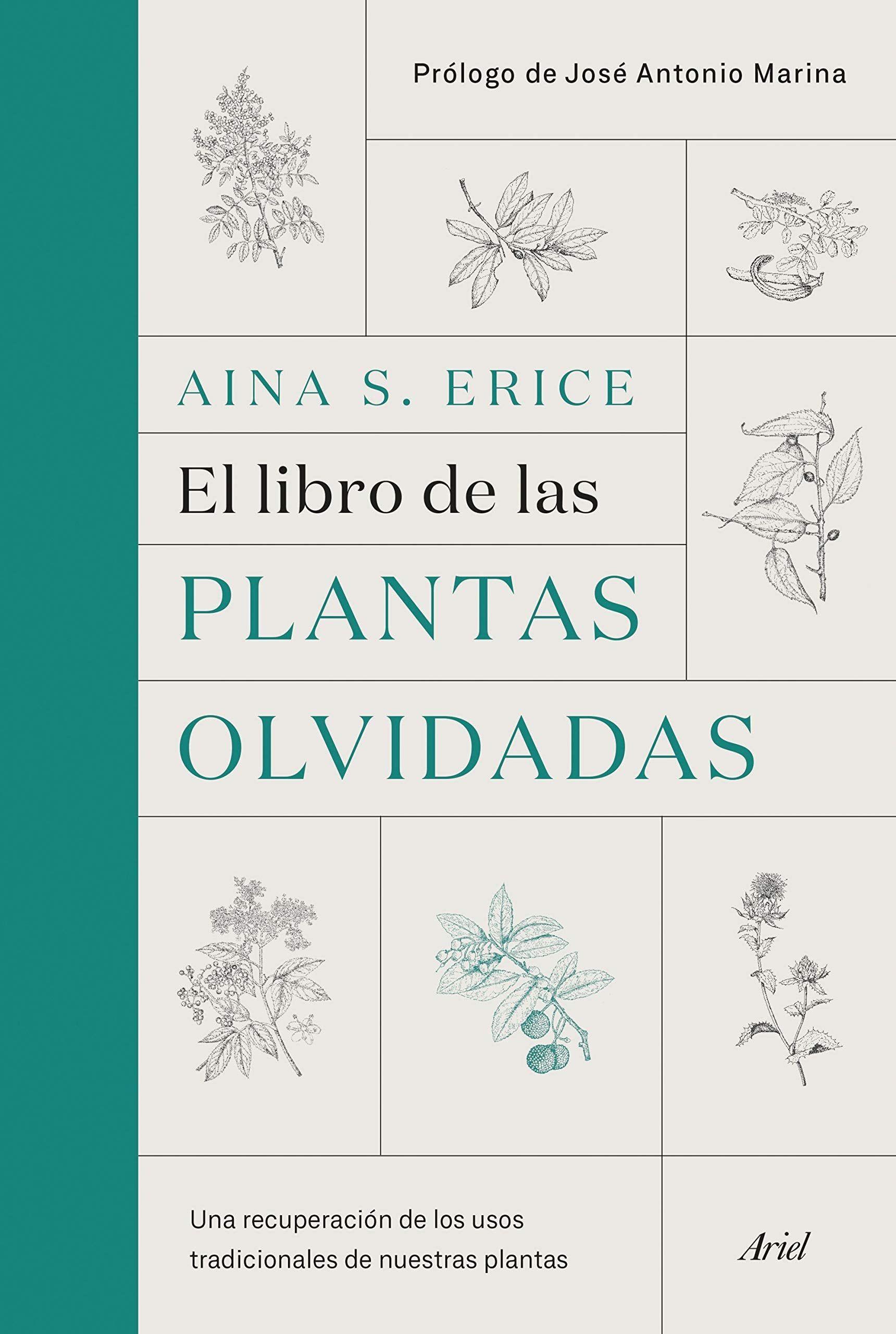 Libro: El libro de las plantas olvidadas: Una recuperación de los usos tradicionales de nuestras plantas (Ariel)