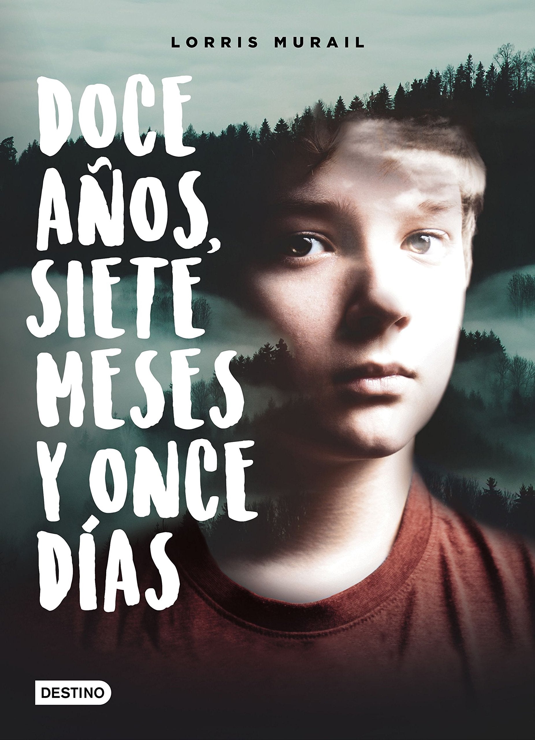 Libro: Doce años, siete meses y once días (La isla del tiempo)