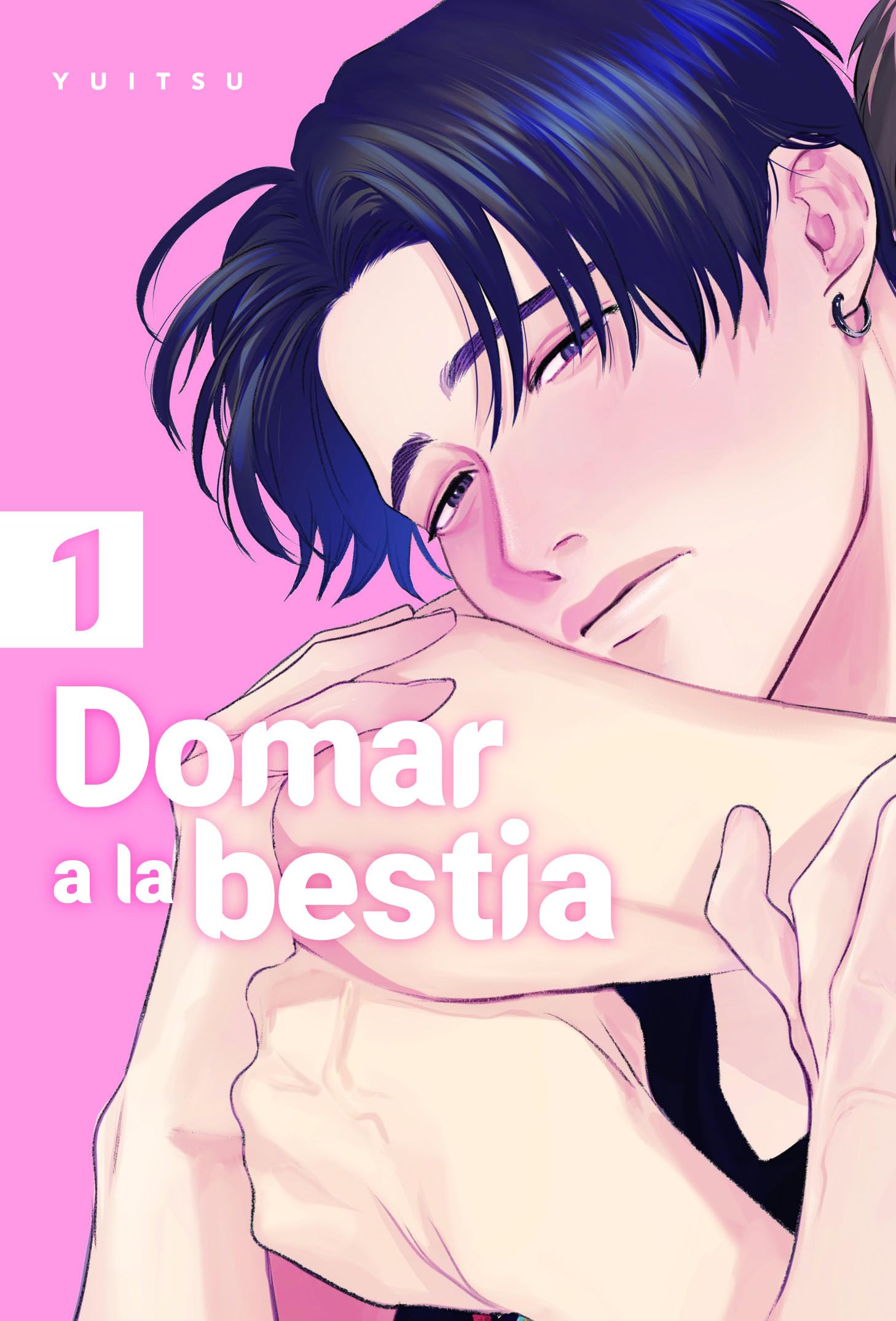 Libro: Domar a la bestia 01