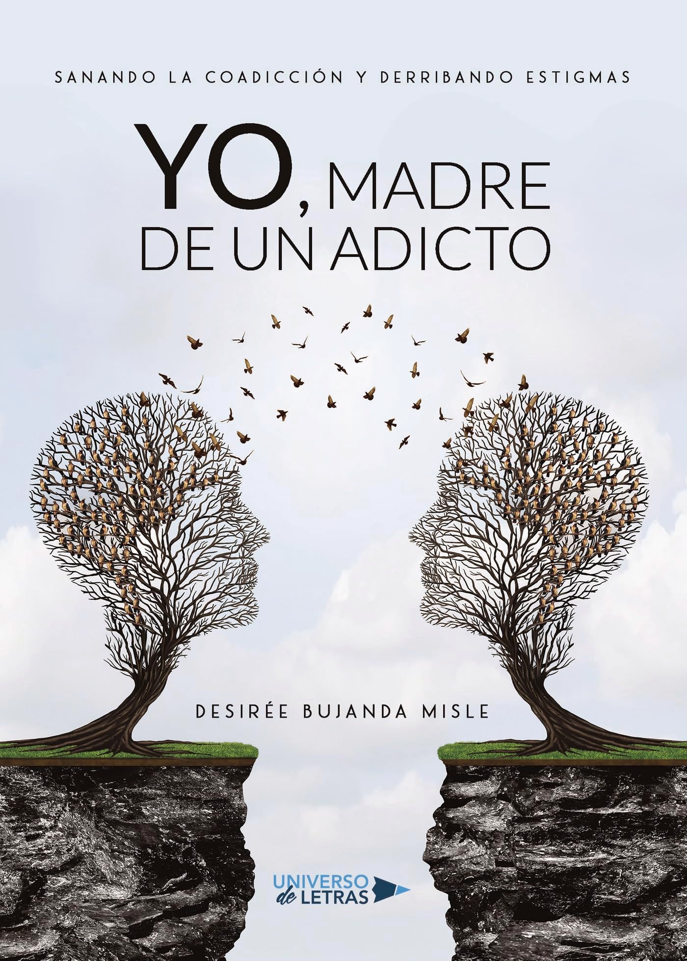 Libro: Yo, madre de un adicto (Spanish Edition)