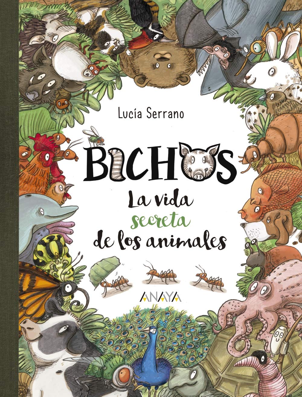 Libro: Bichos: La vida secreta de los animales (LITERATURA INFANTIL - Libros-Regalo)