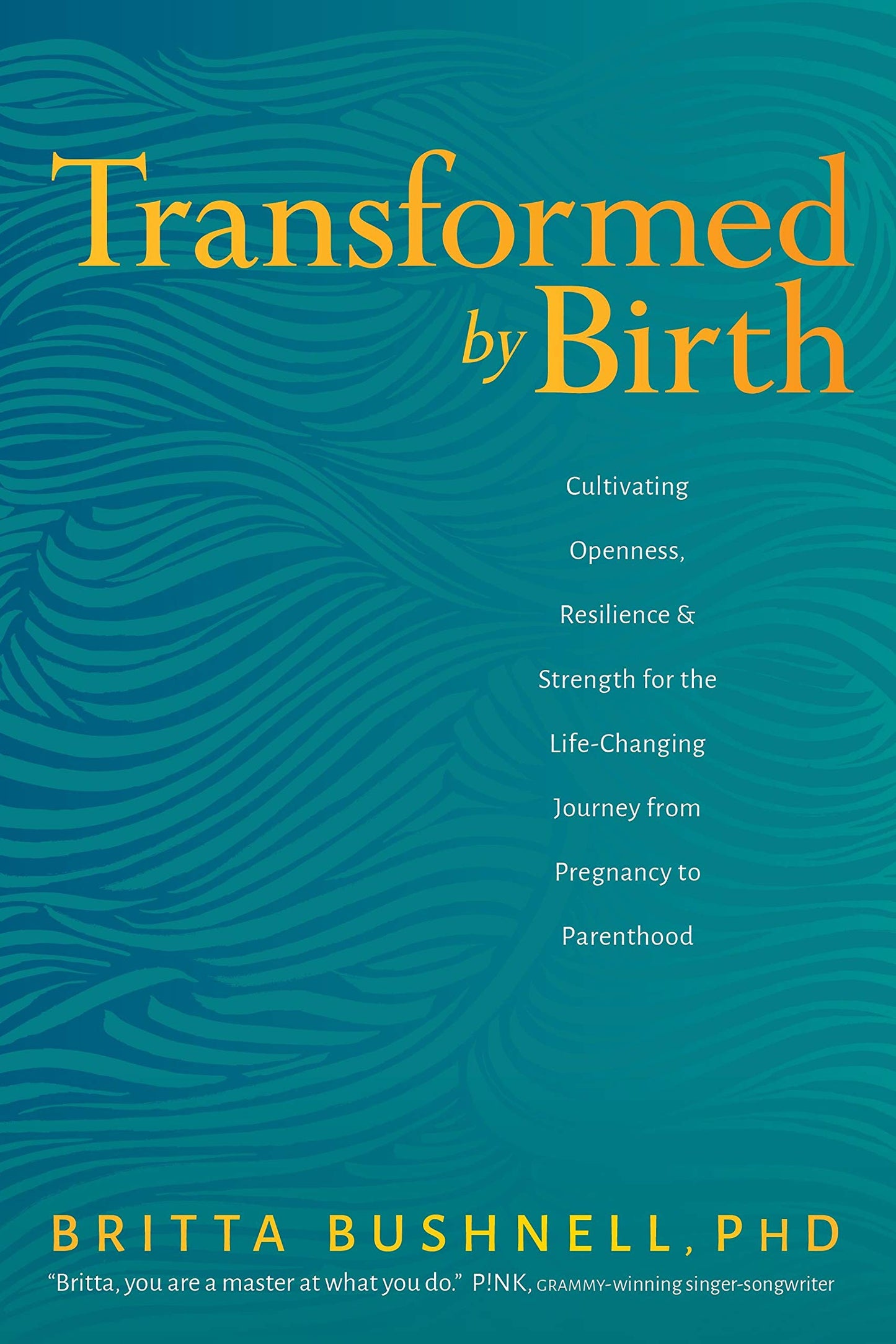 Libro: Transformed by Birth: Cultivating Openness, Resilience, and Strength for the Life-Changing Journey from Pregnancy to Parenthood