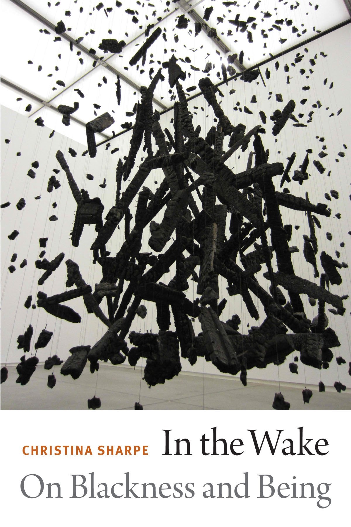 Libro: In the Wake: On Blackness and Being
