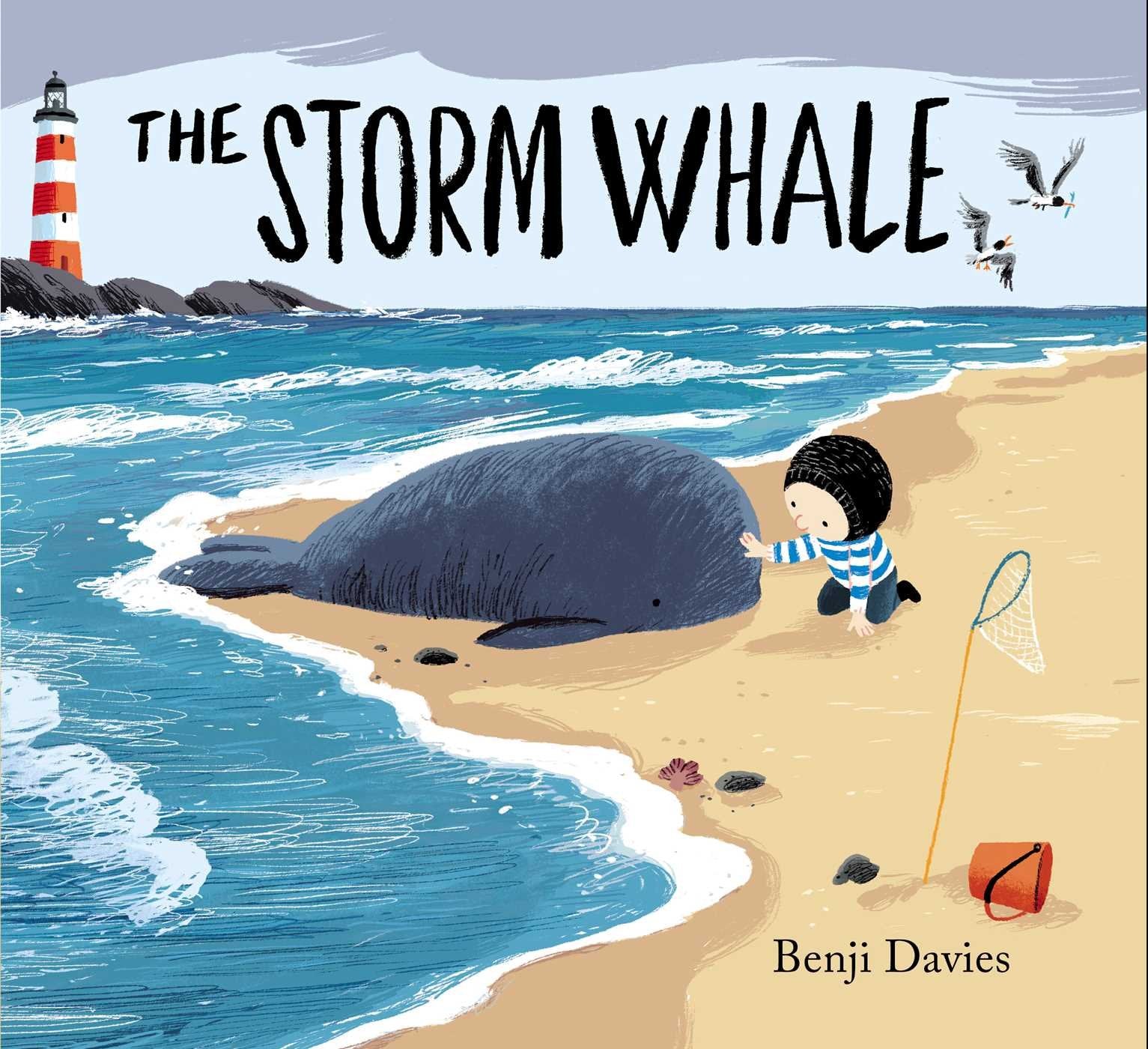 Libro: Storm Whale