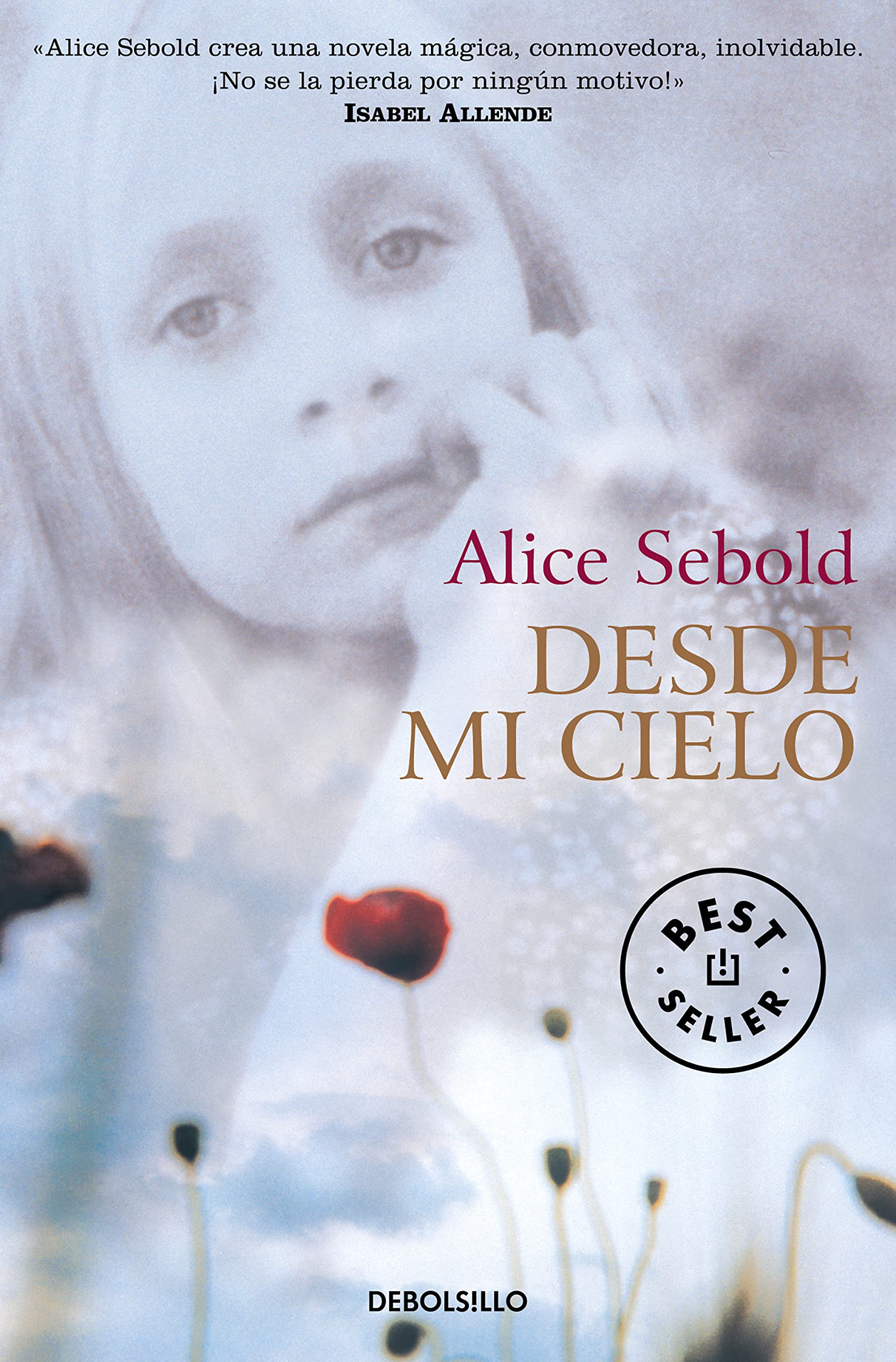 Libro: Desde mi cielo