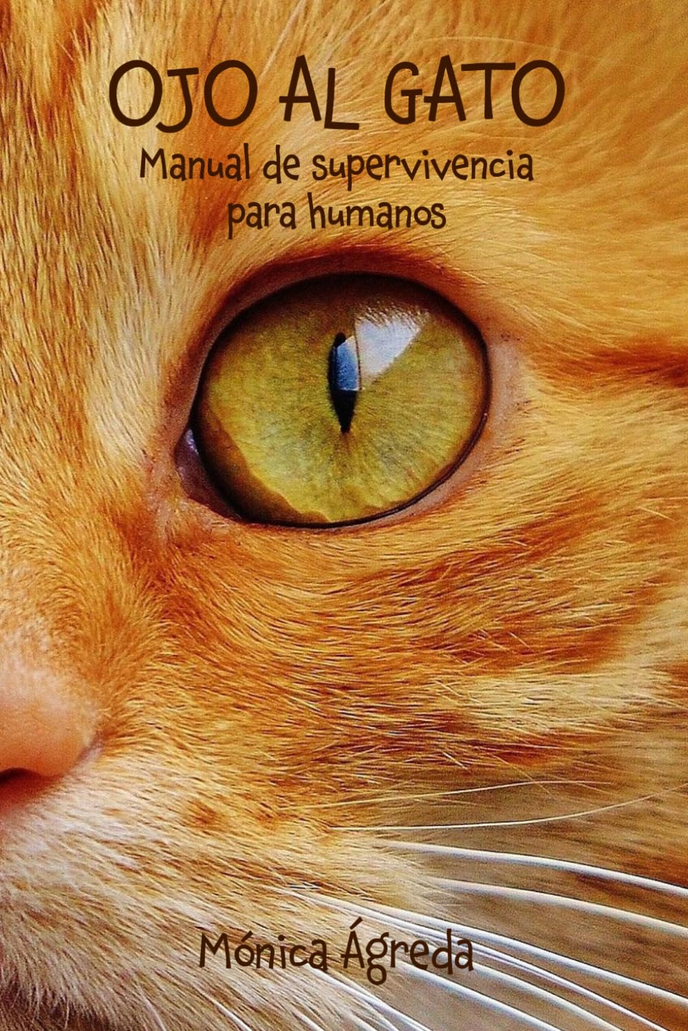 Libro: OJO AL GATO: Manual de supervivencia para humanos (Spanish Edition)