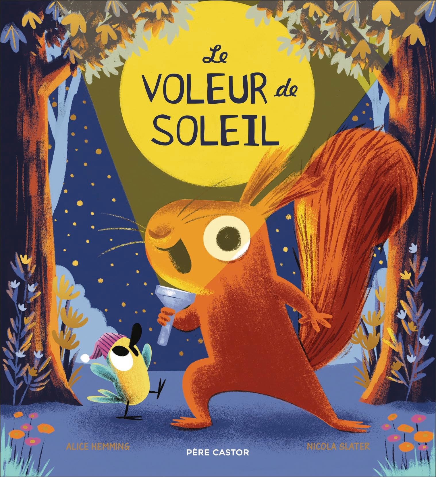 Libro: Le voleur de soleil